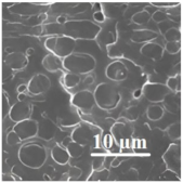 Applsci 13 05148 i005 Applsci 13 05148 i005