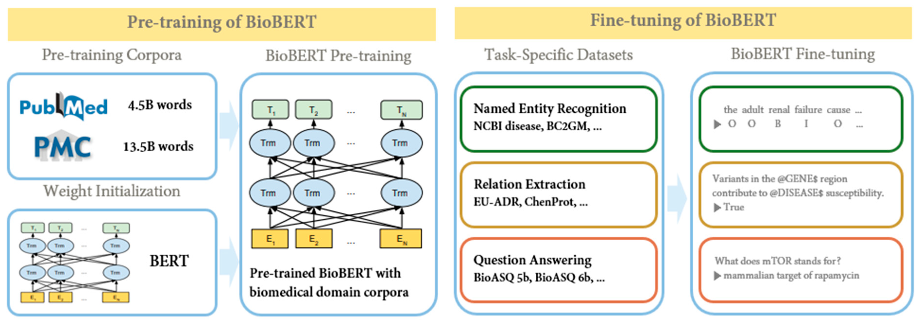 Applsci 13 05163 g003