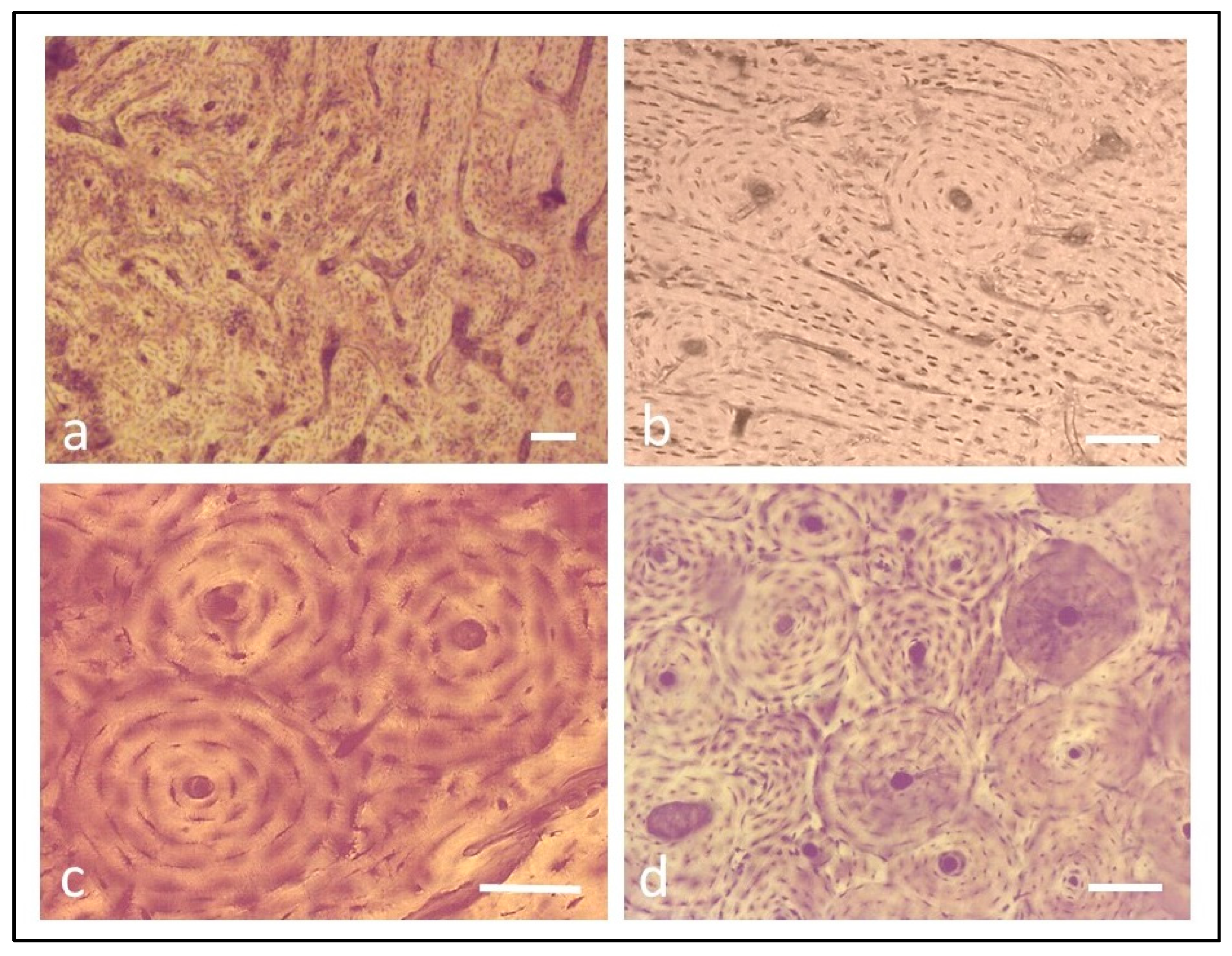 Applsci 13 05170 g001