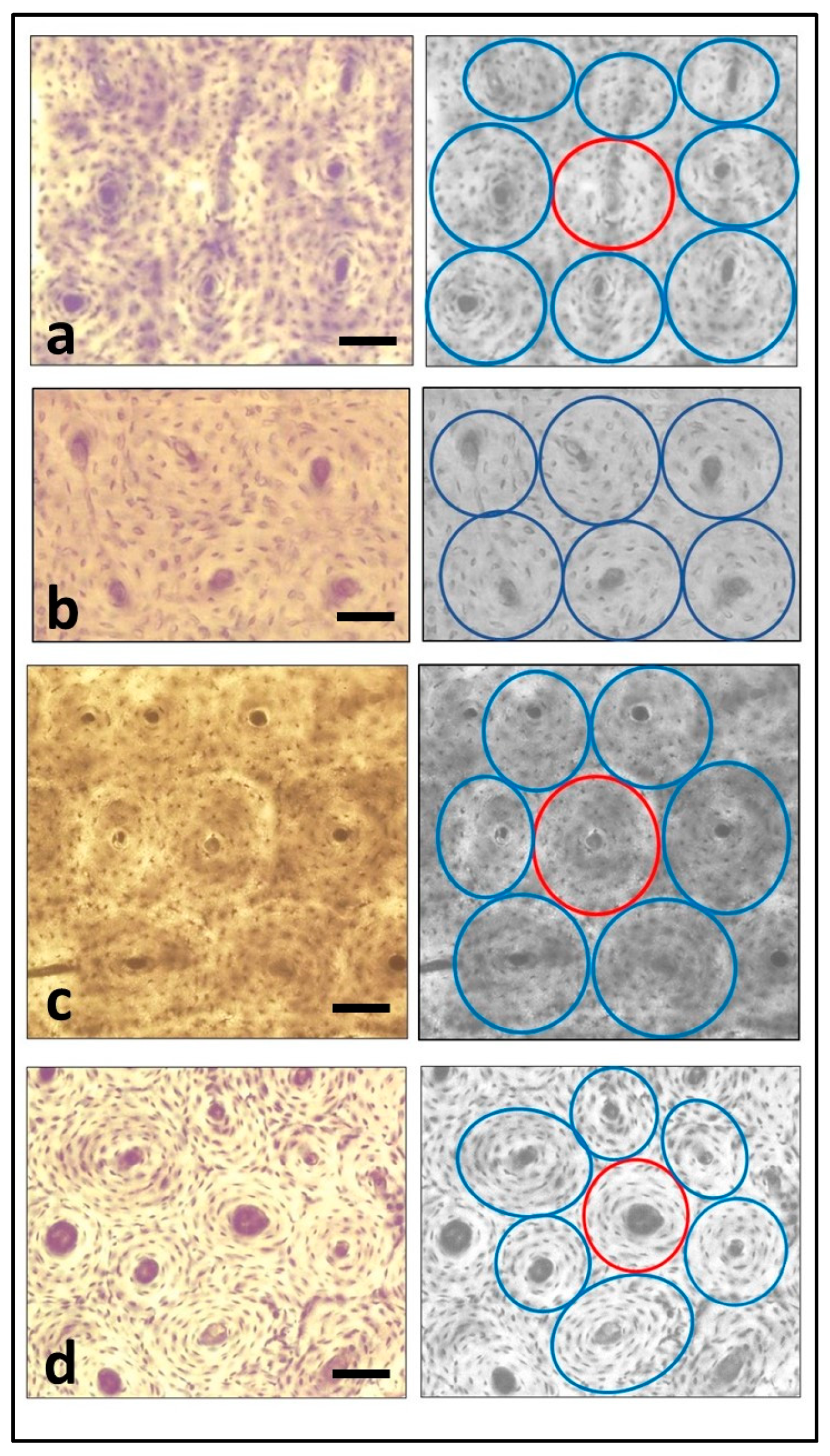 Applsci 13 05170 g002