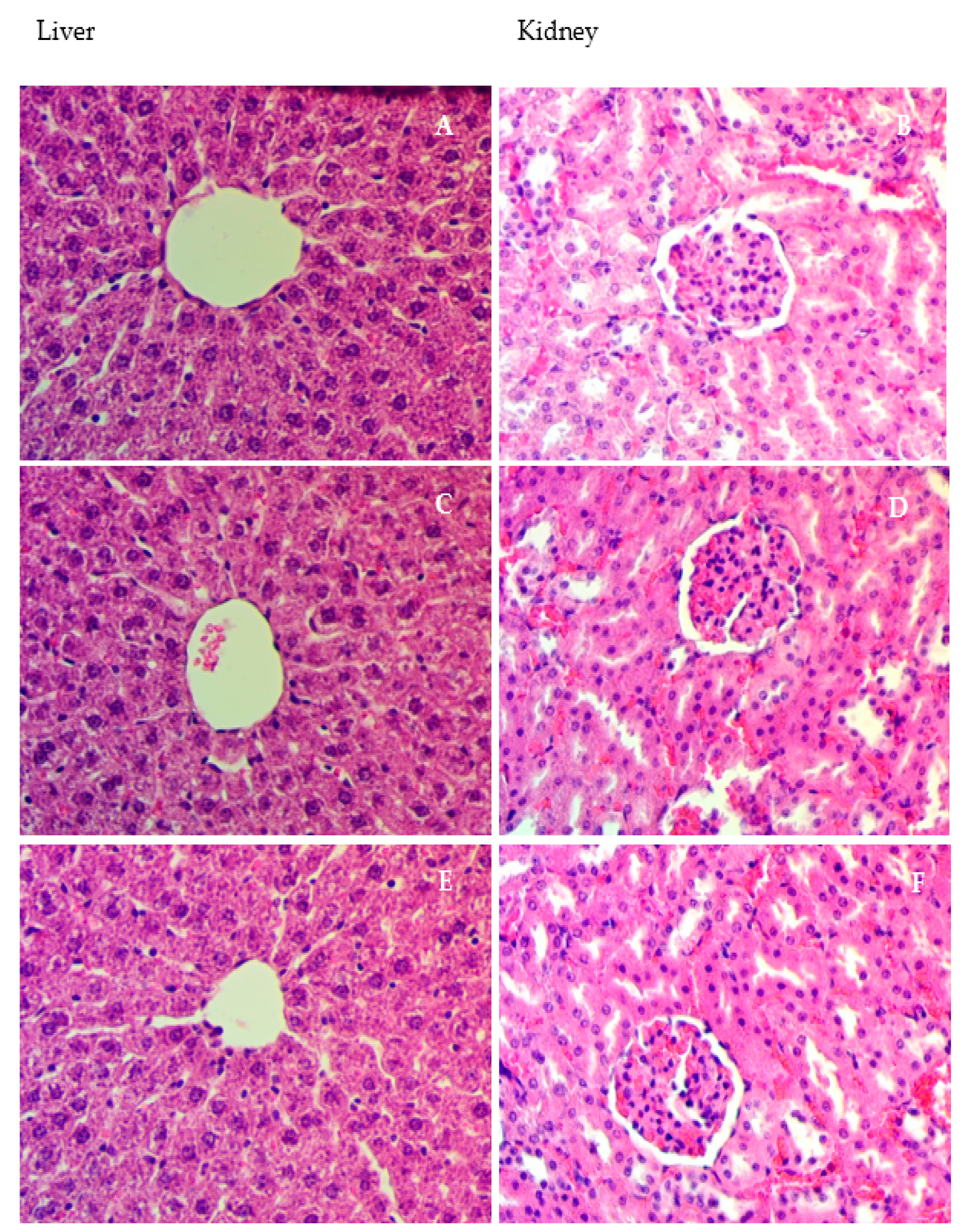 Applsci 13 05243 g001