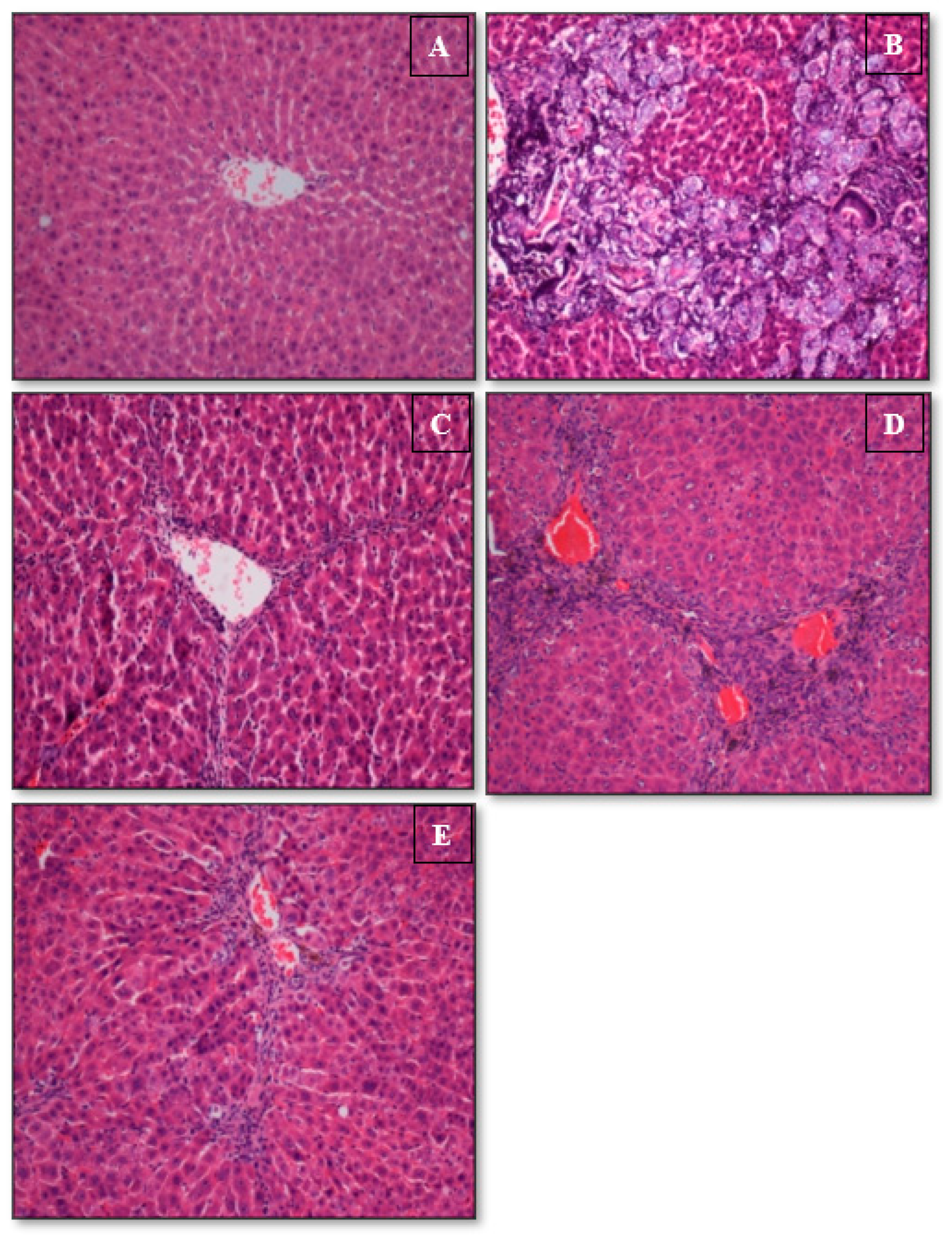 Applsci 13 05243 g003