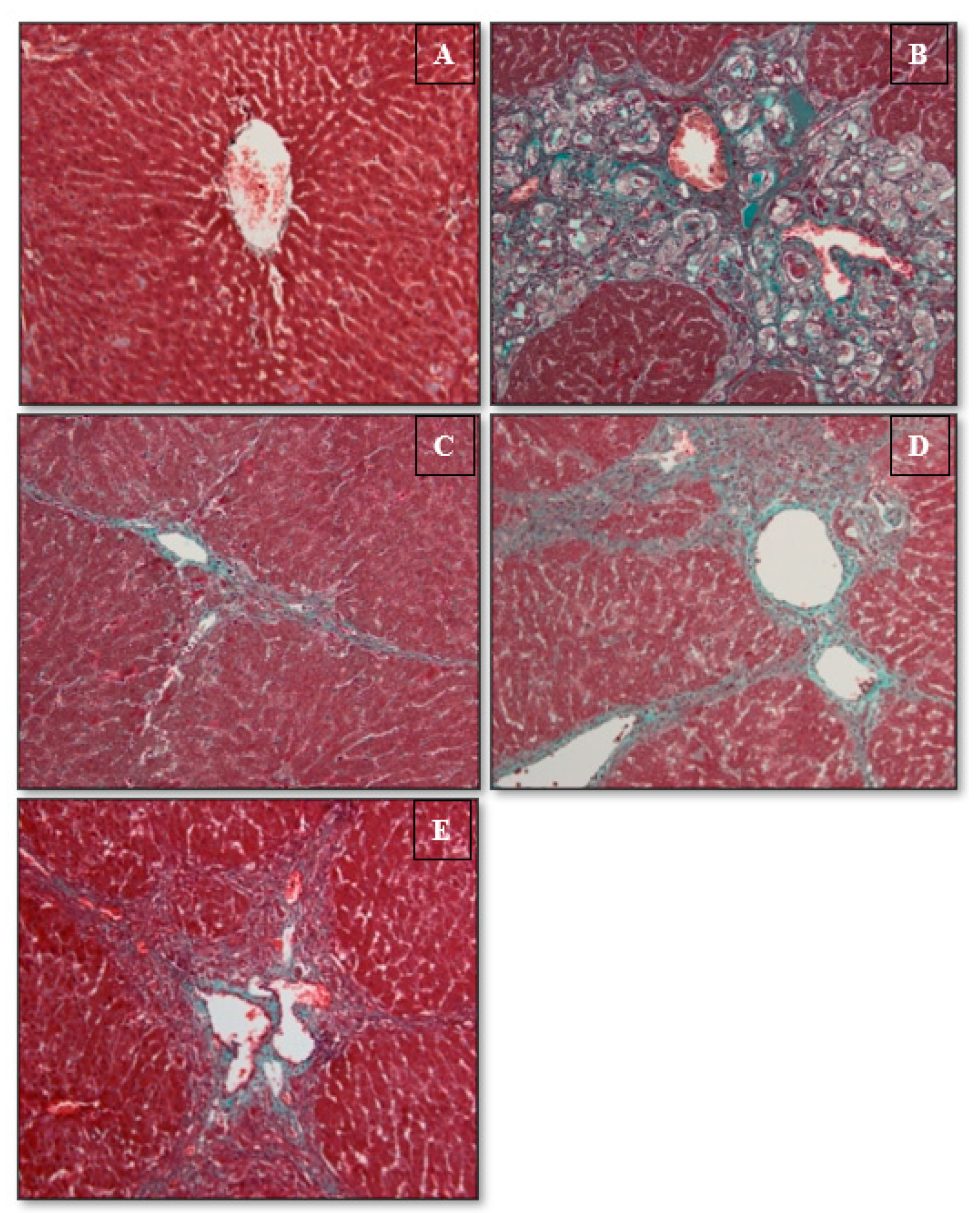 Applsci 13 05243 g004