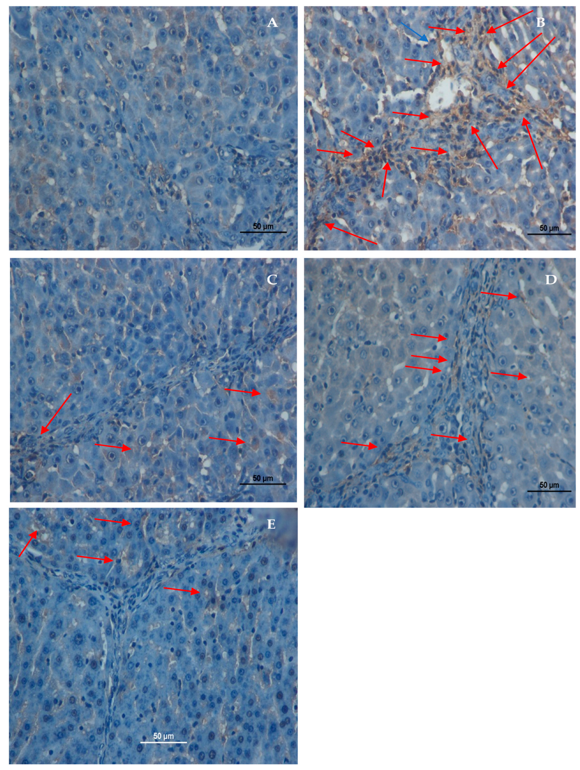 Applsci 13 05243 g006