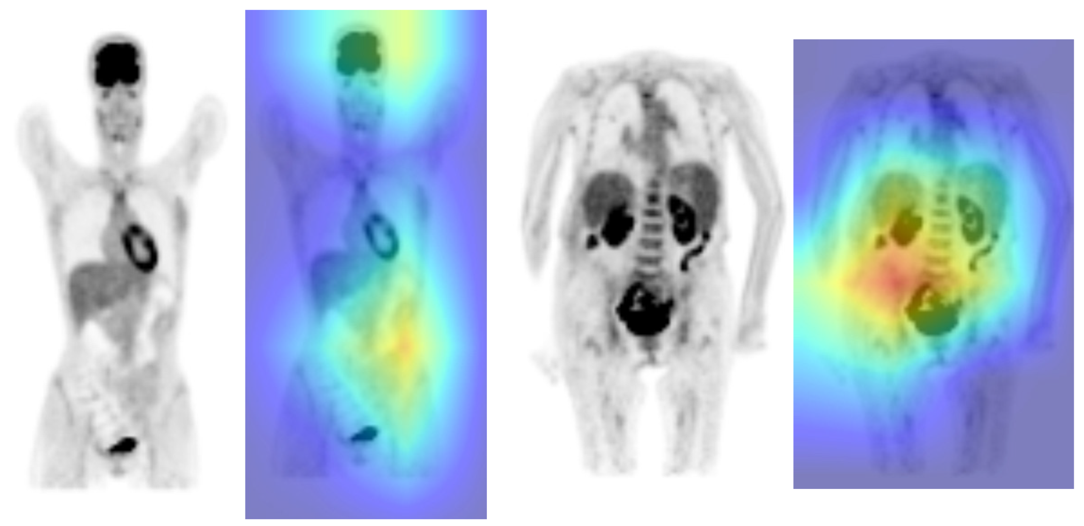 Applsci 13 05281 g005