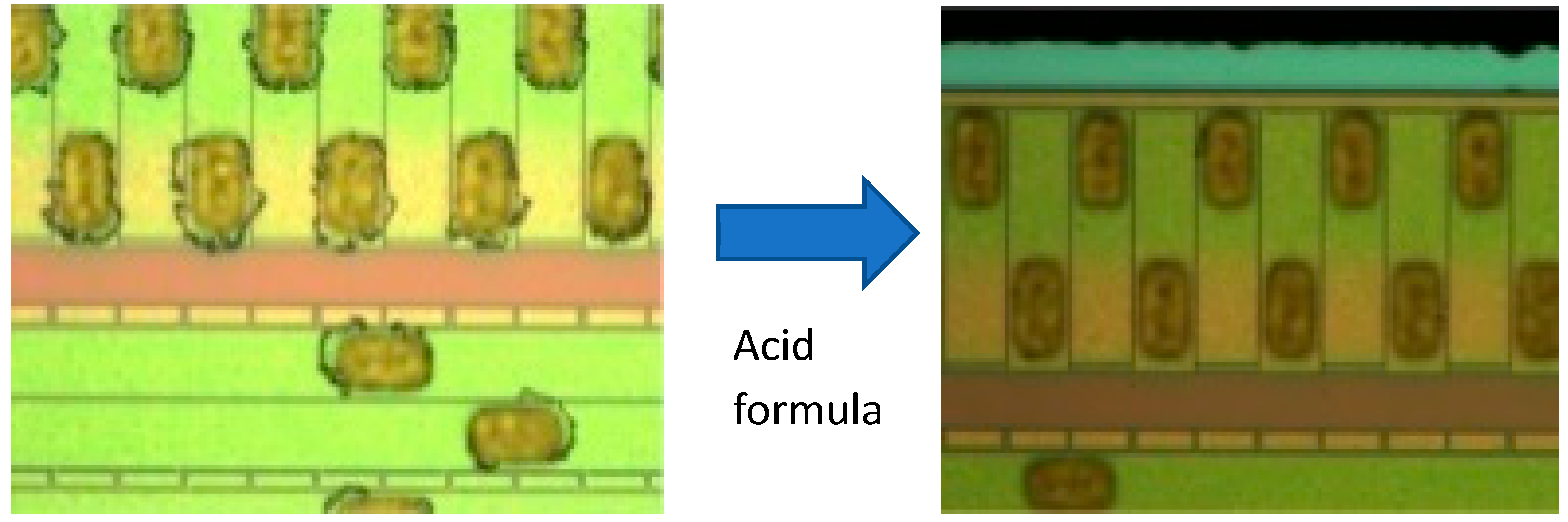 Applsci 13 05294 g006