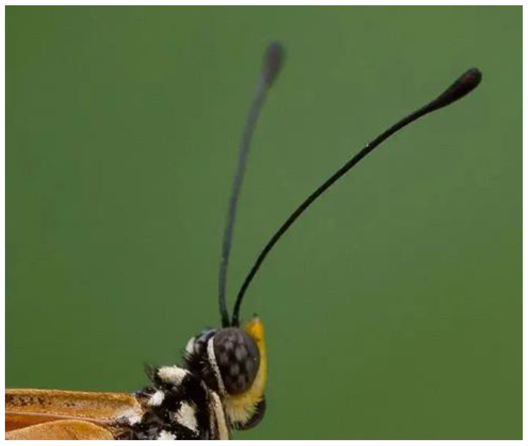 Applsci 13 05301 g006