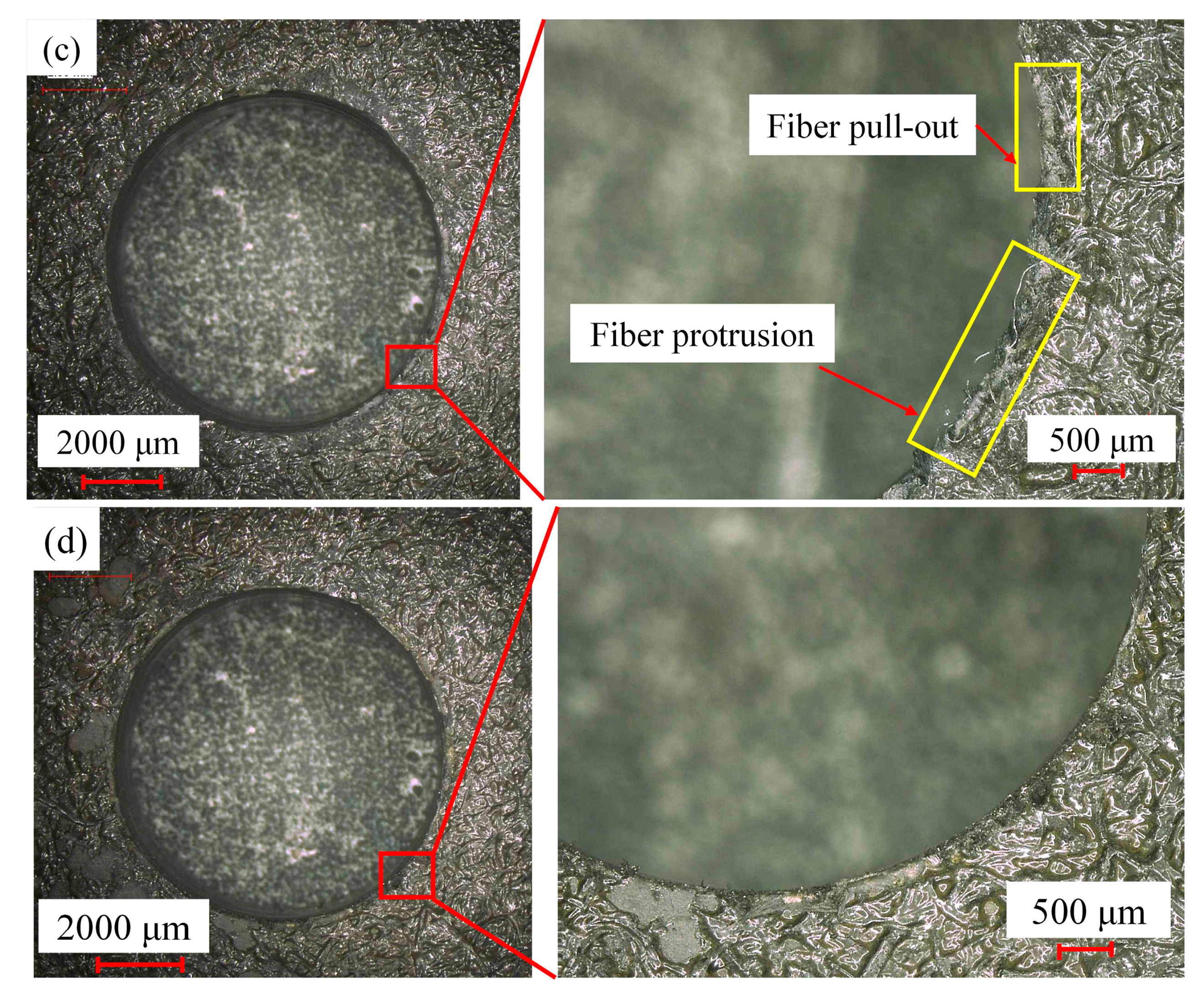 Applsci 13 05309 g013b