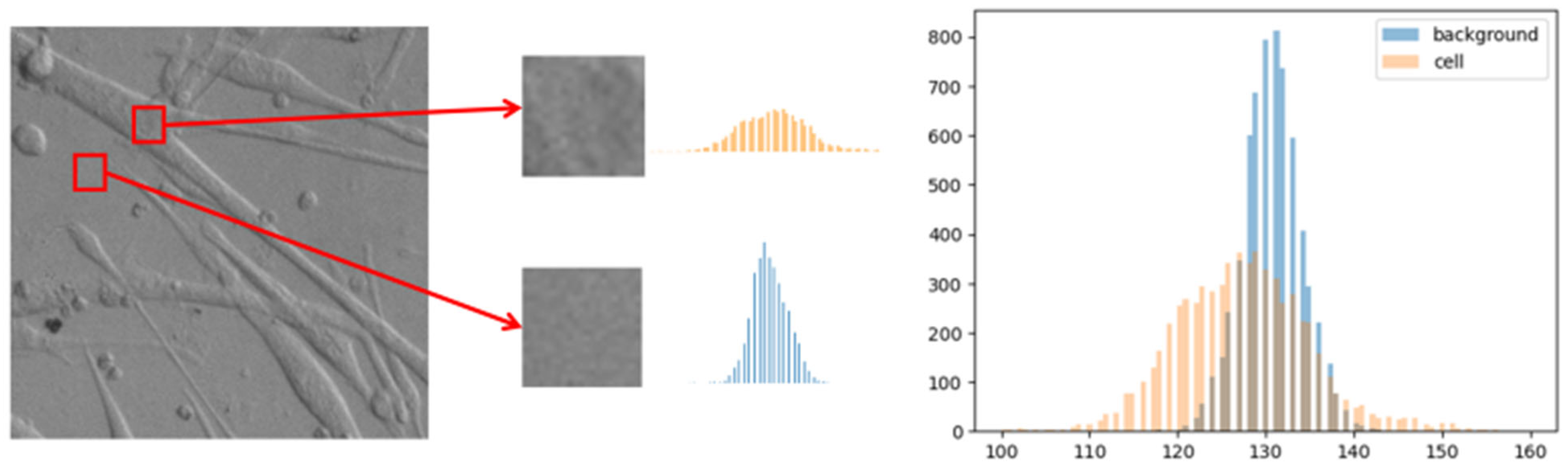 Applsci 13 05314 g004