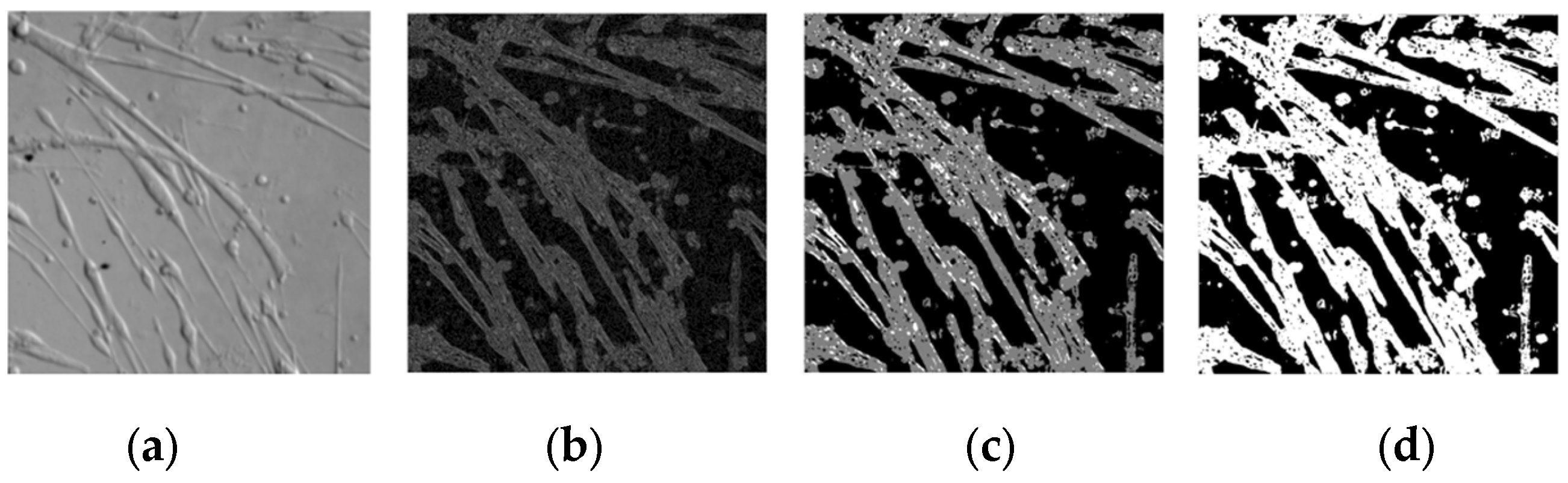 Applsci 13 05314 g006