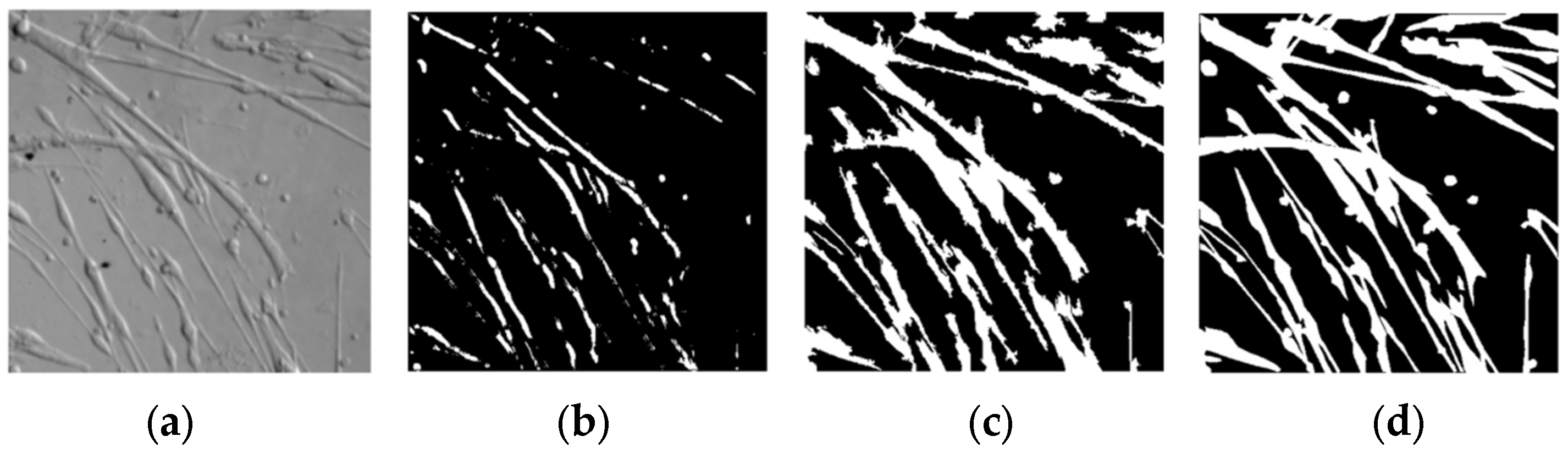 Applsci 13 05314 g011