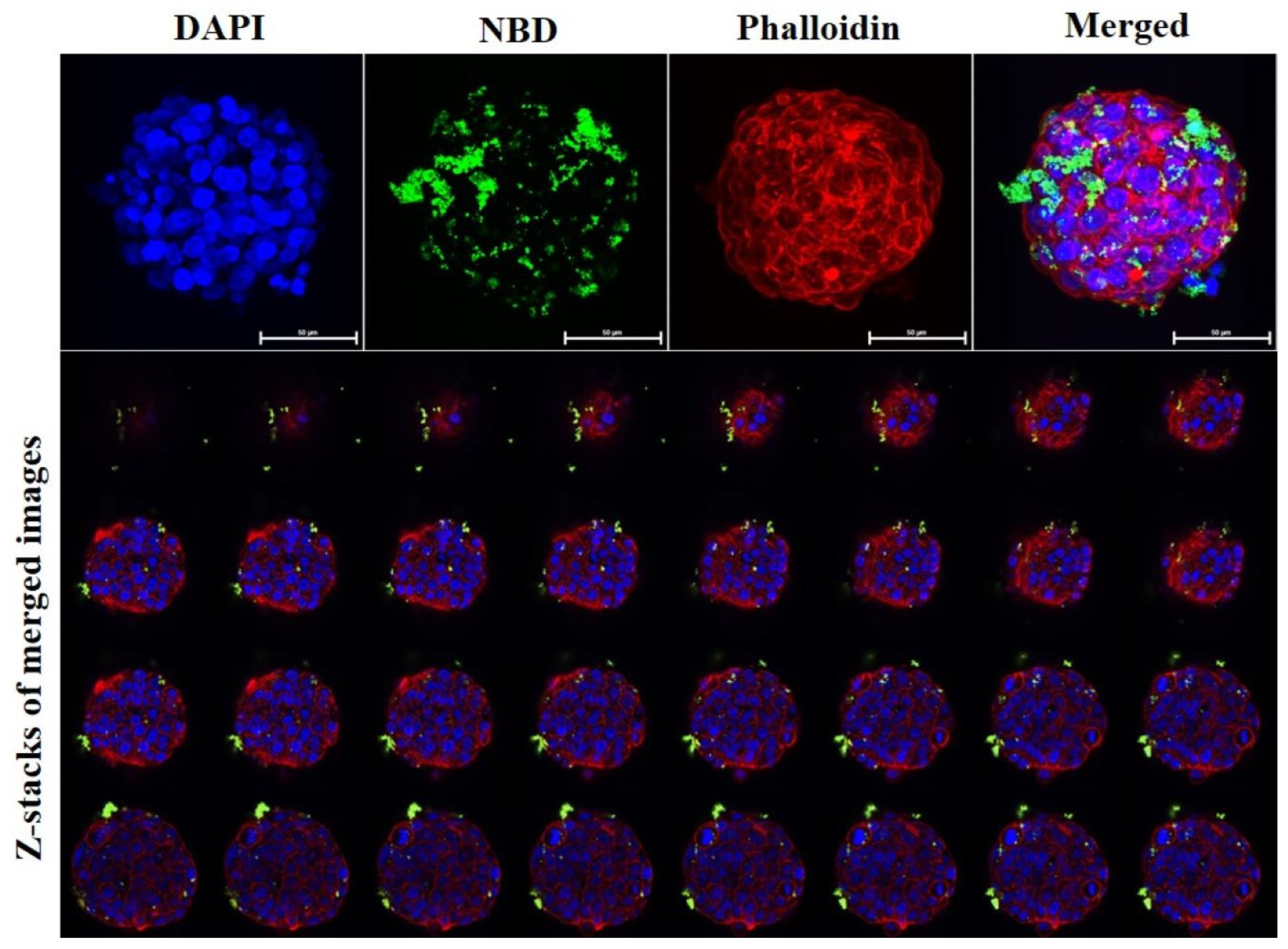 Applsci 13 05330 g002
