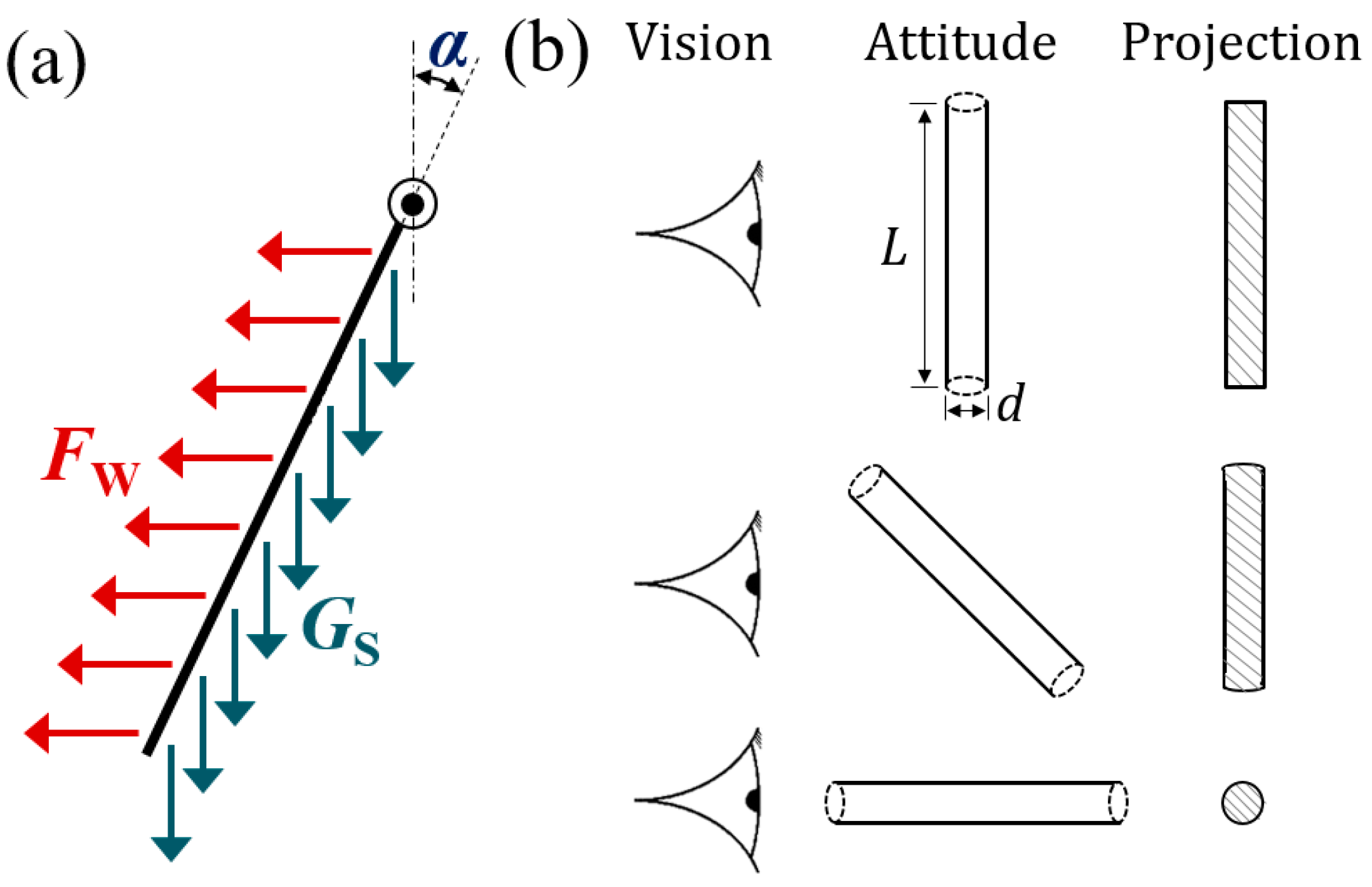 Applsci 13 05375 g013