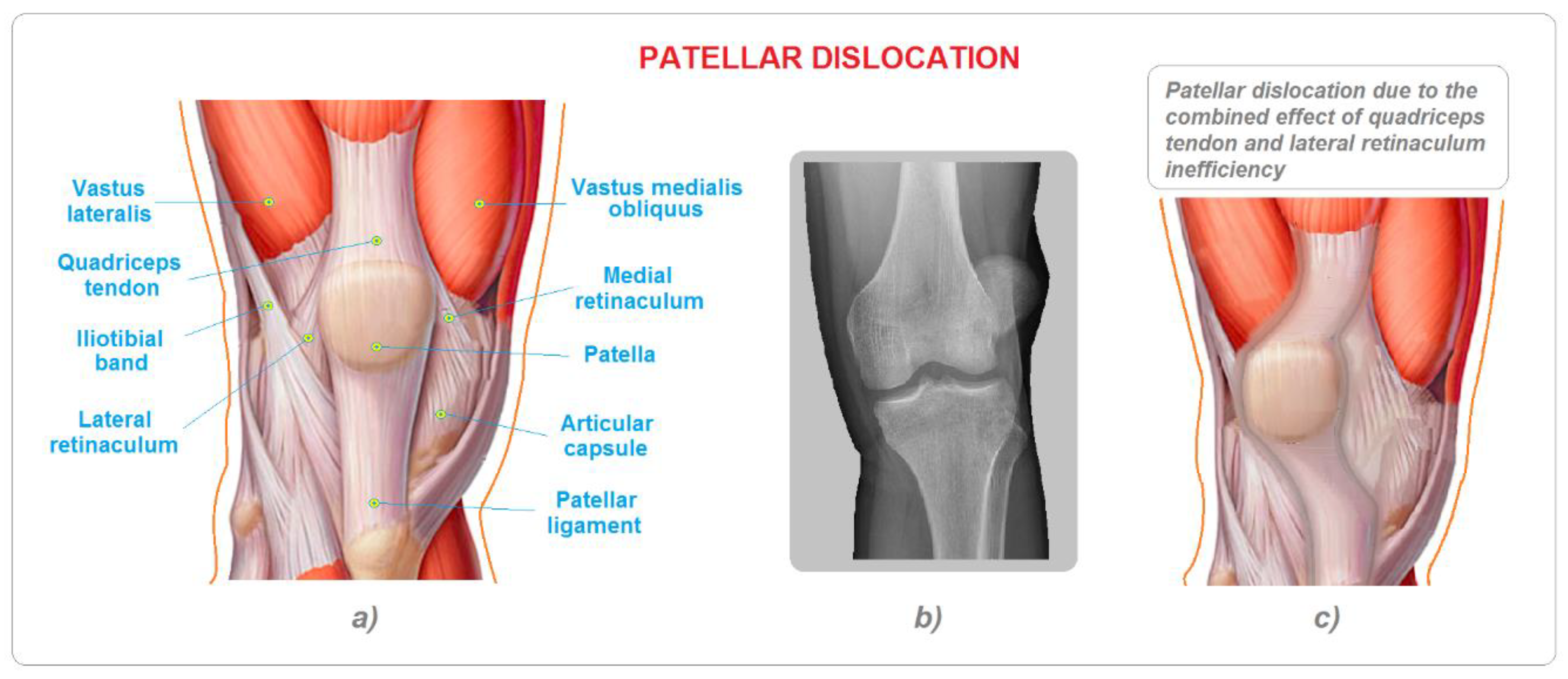 Applsci 13 05420 g002 Applsci 13 05420 g002