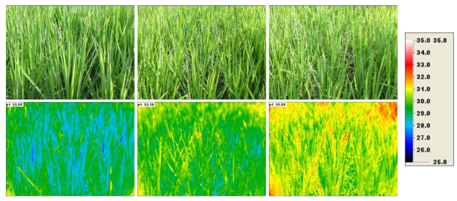 Applsci 13 05423 g001