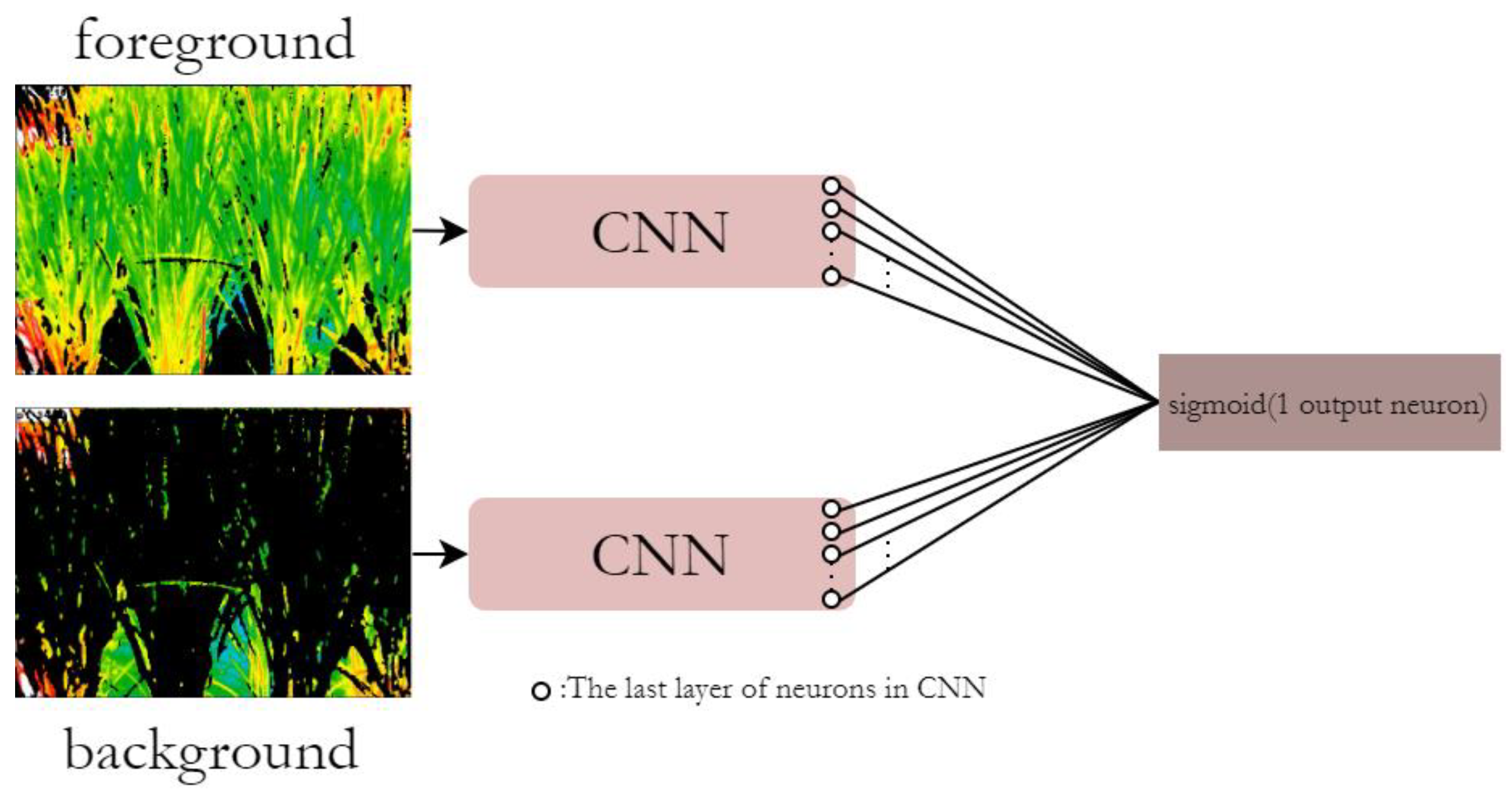 Applsci 13 05423 g005