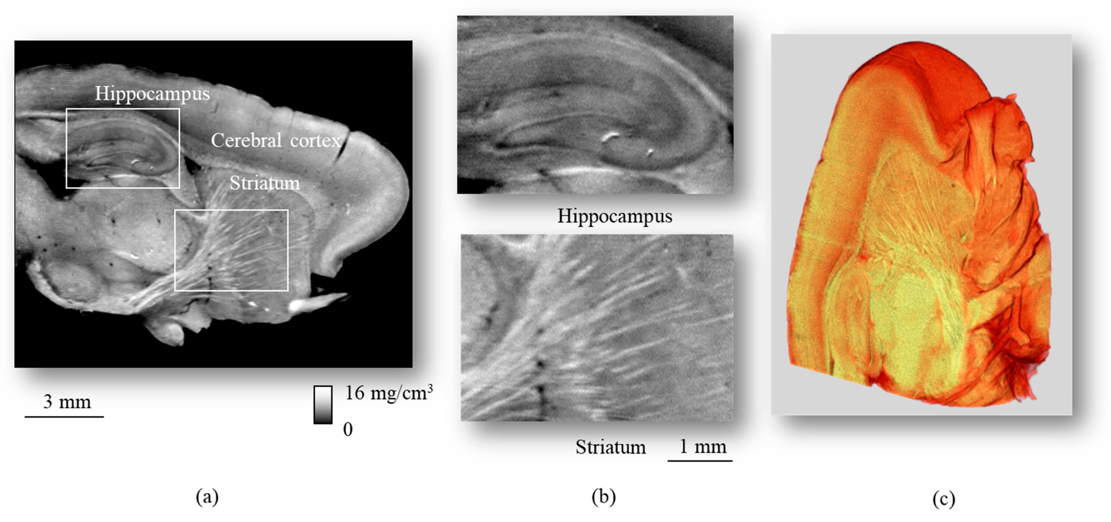 Applsci 13 05424 g006