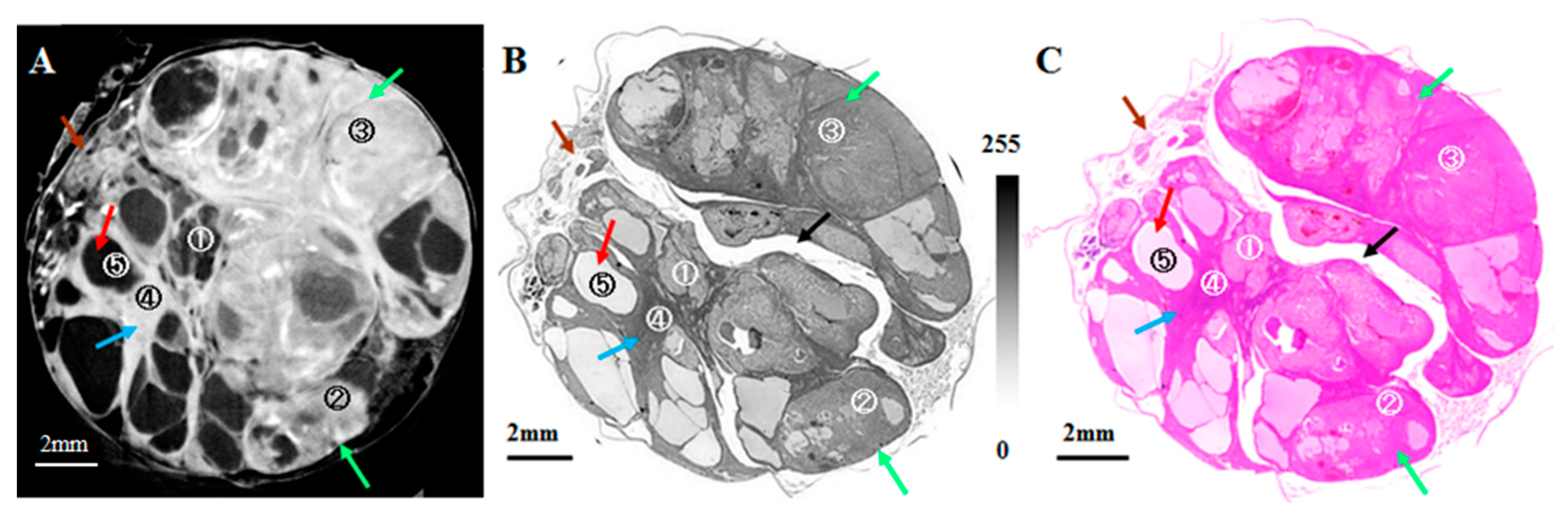Applsci 13 05424 g007
