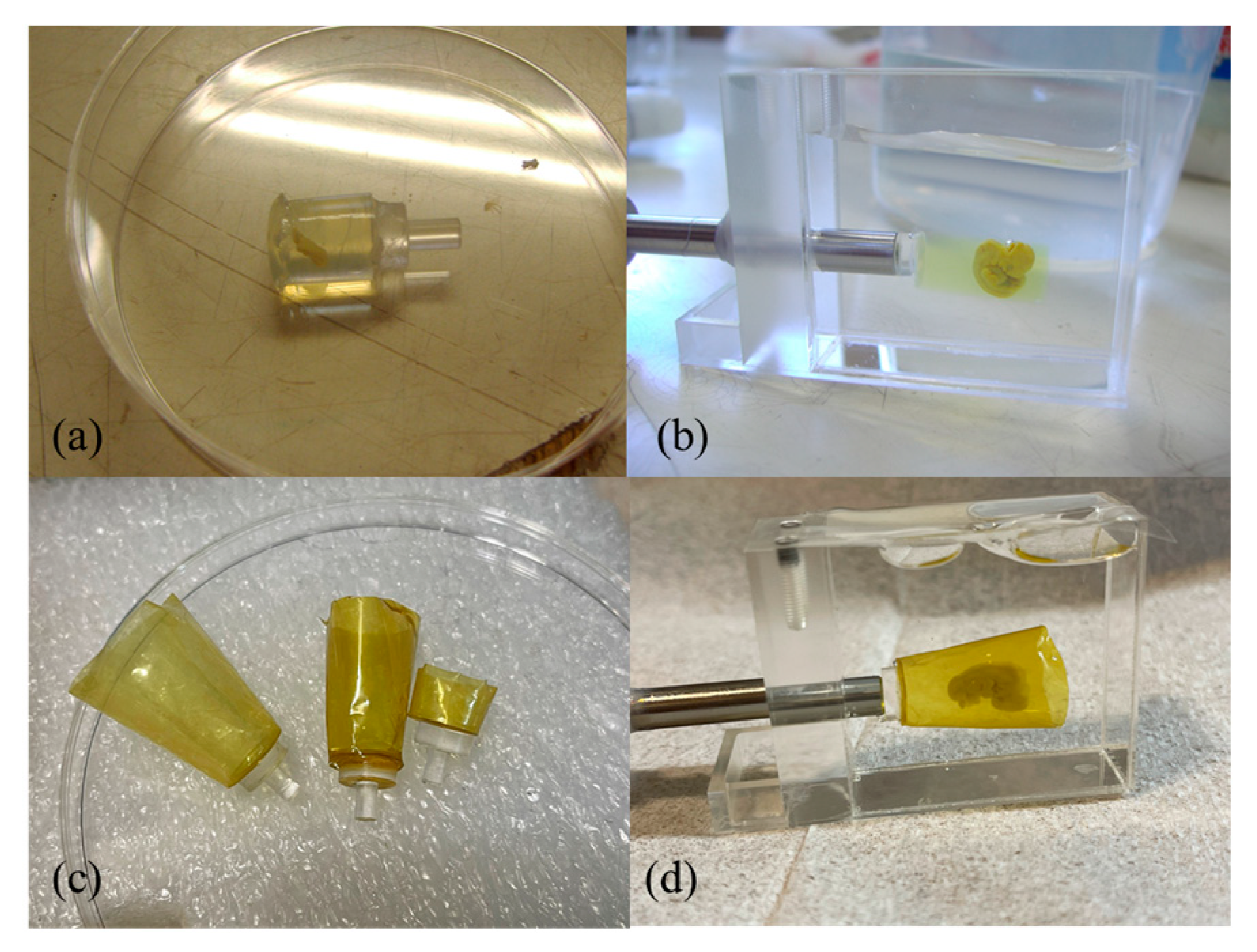 Applsci 13 05424 g010