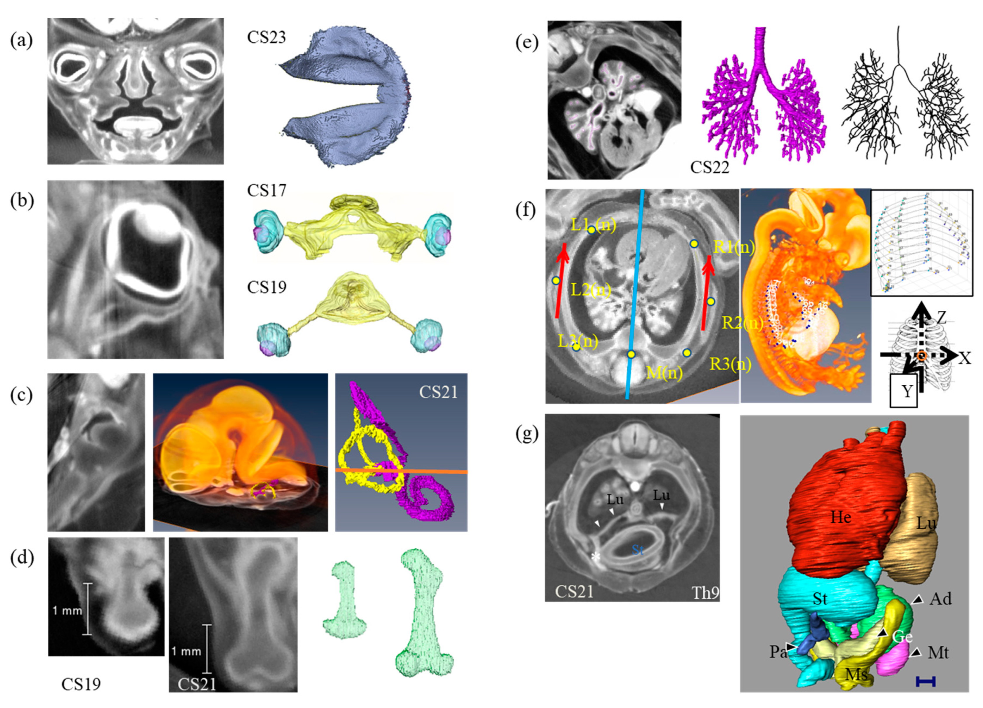Applsci 13 05424 g011