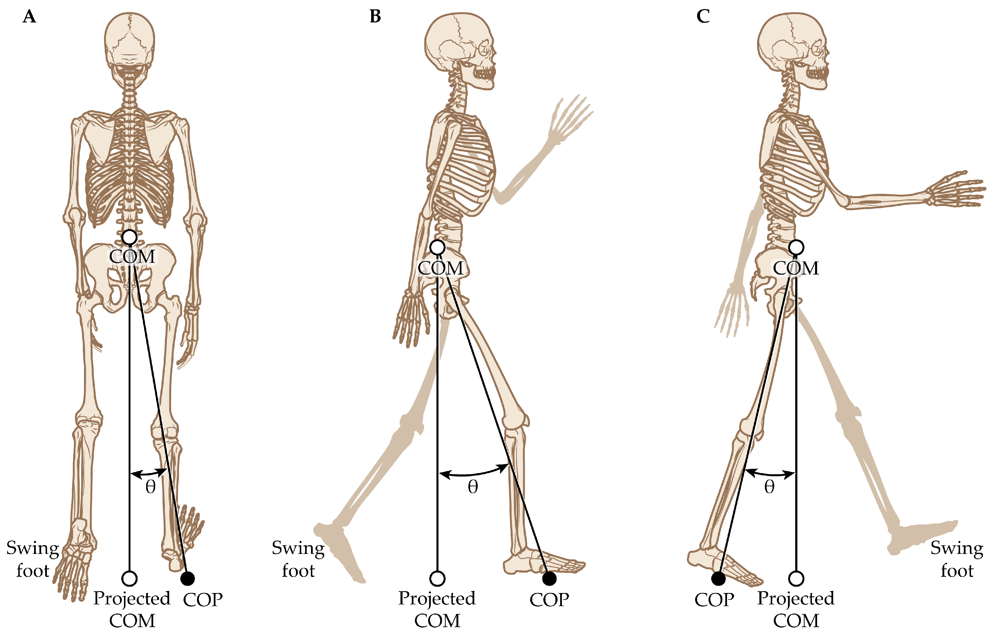 Applsci 13 05428 g005