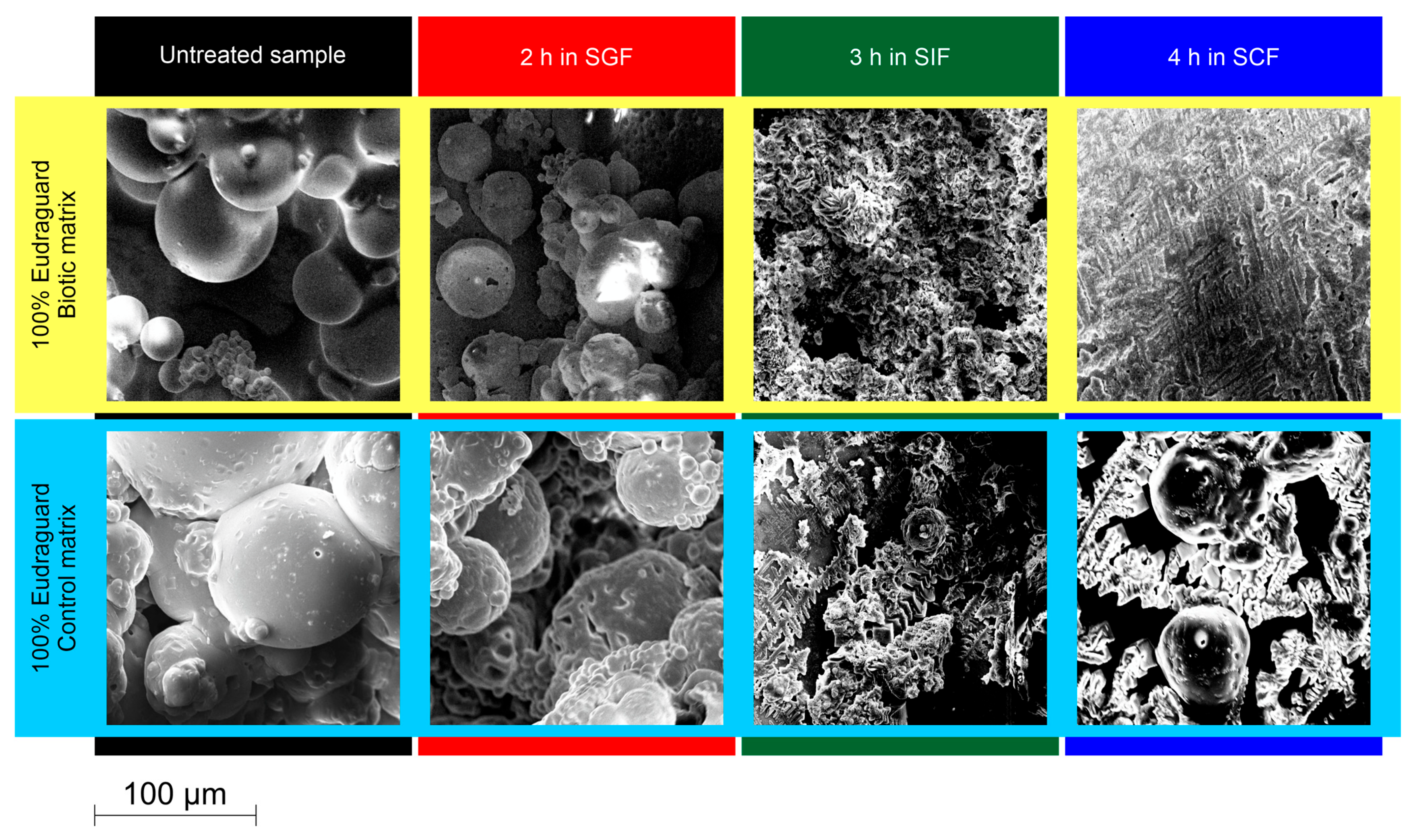 Applsci 13 05443 g011