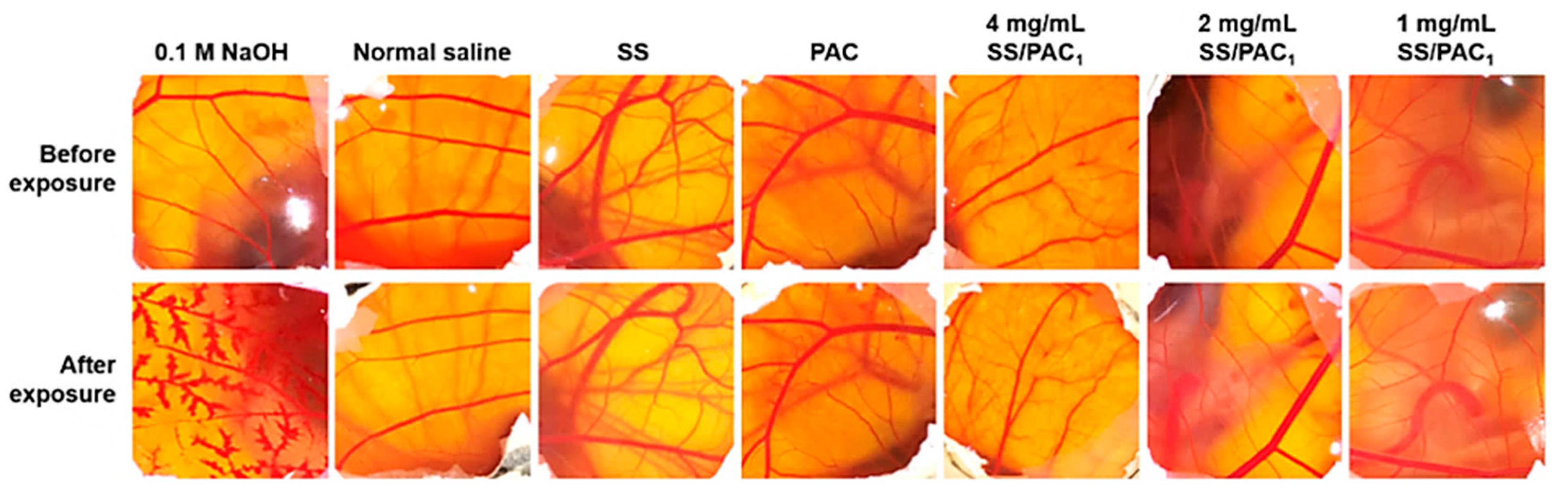 Applsci 13 05443 g016