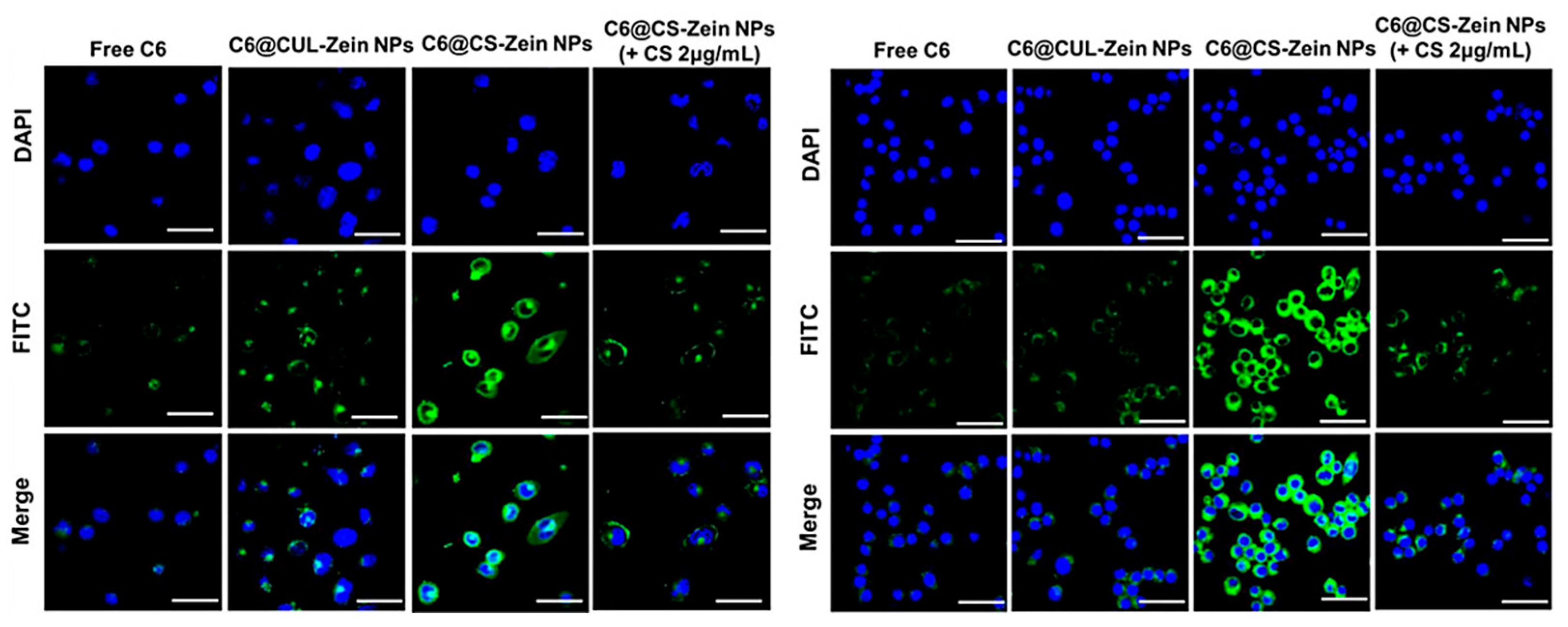 Applsci 13 05443 g017