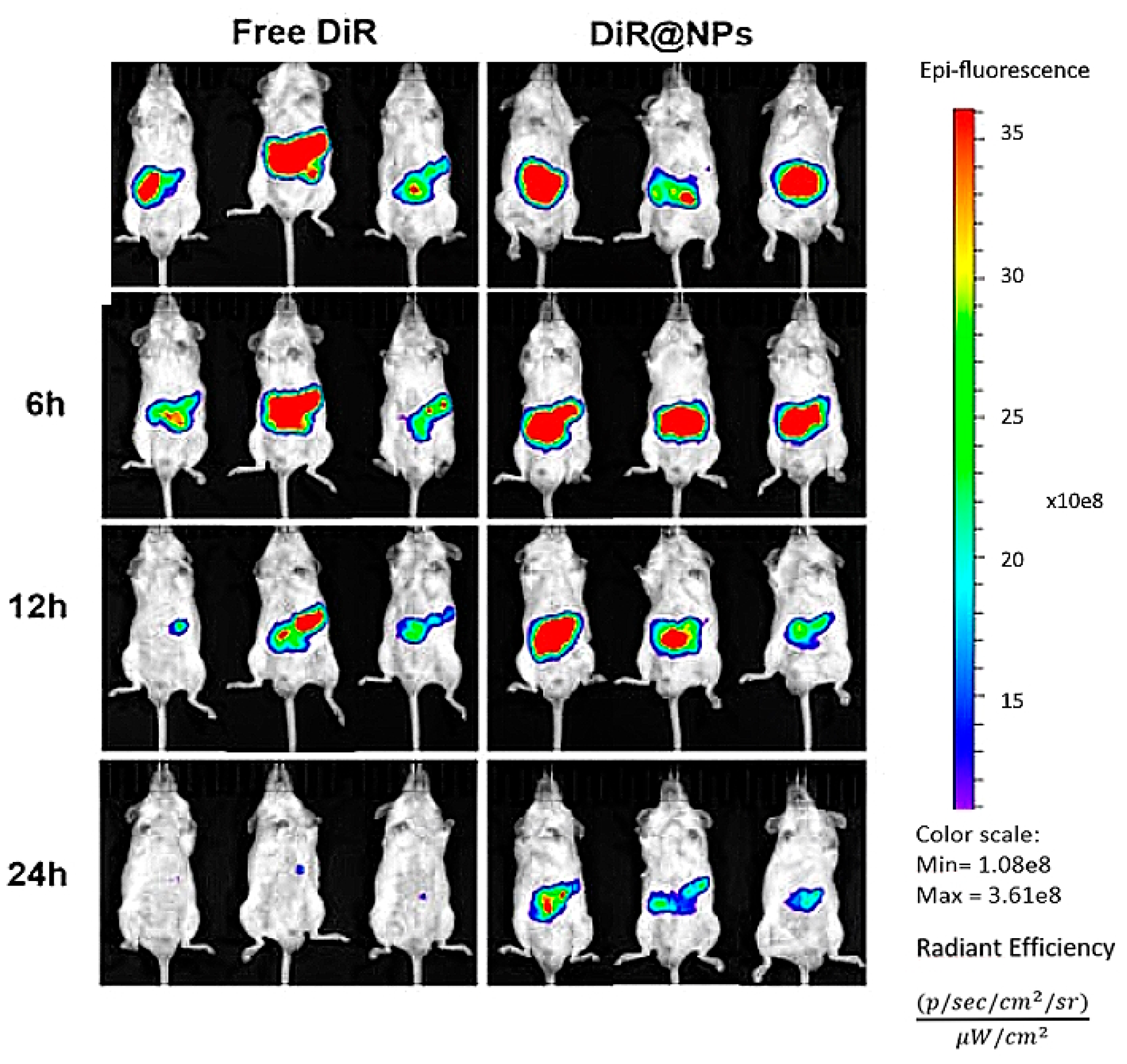 Applsci 13 05443 g018