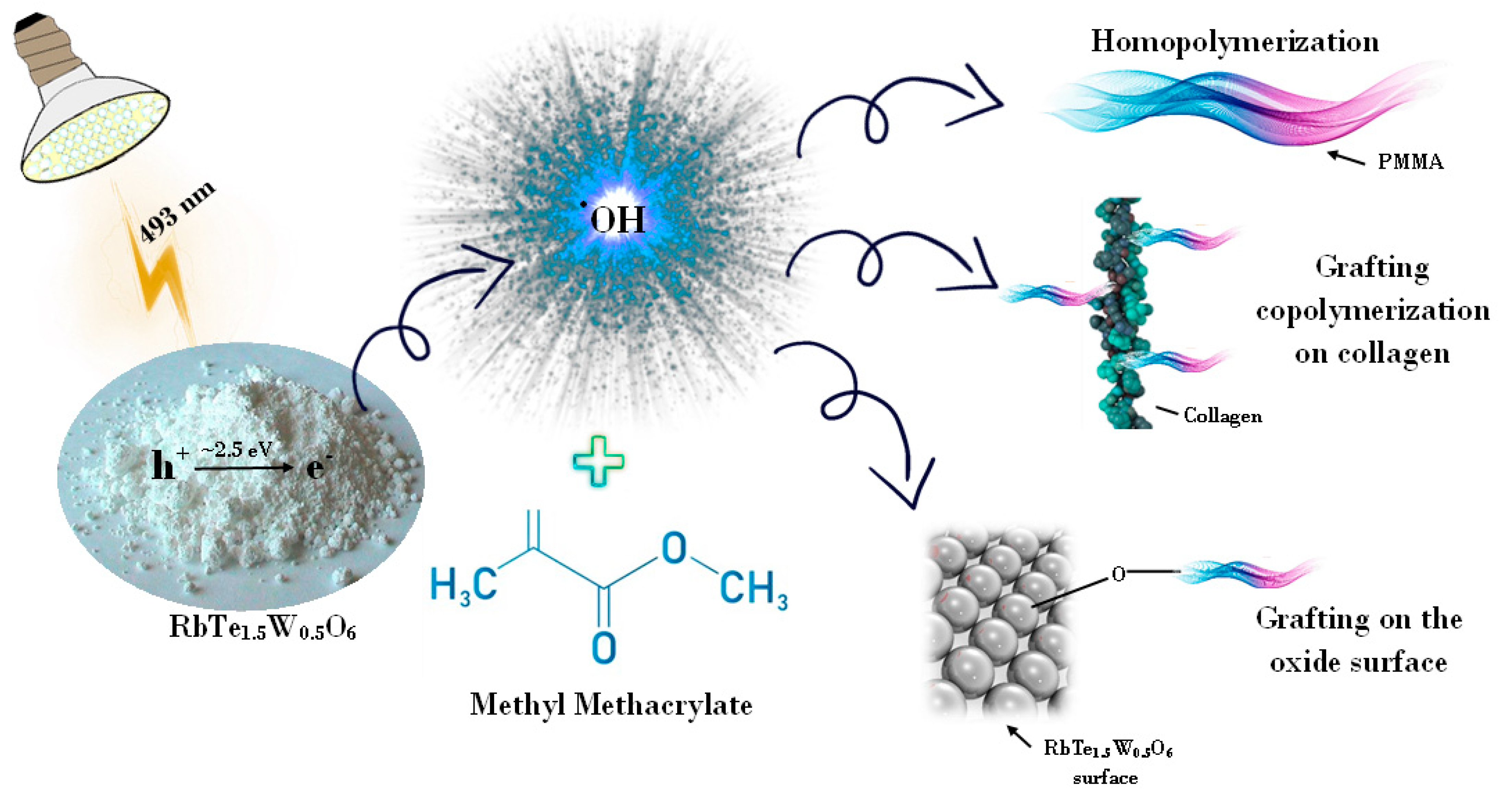 Applsci 13 05455 g001