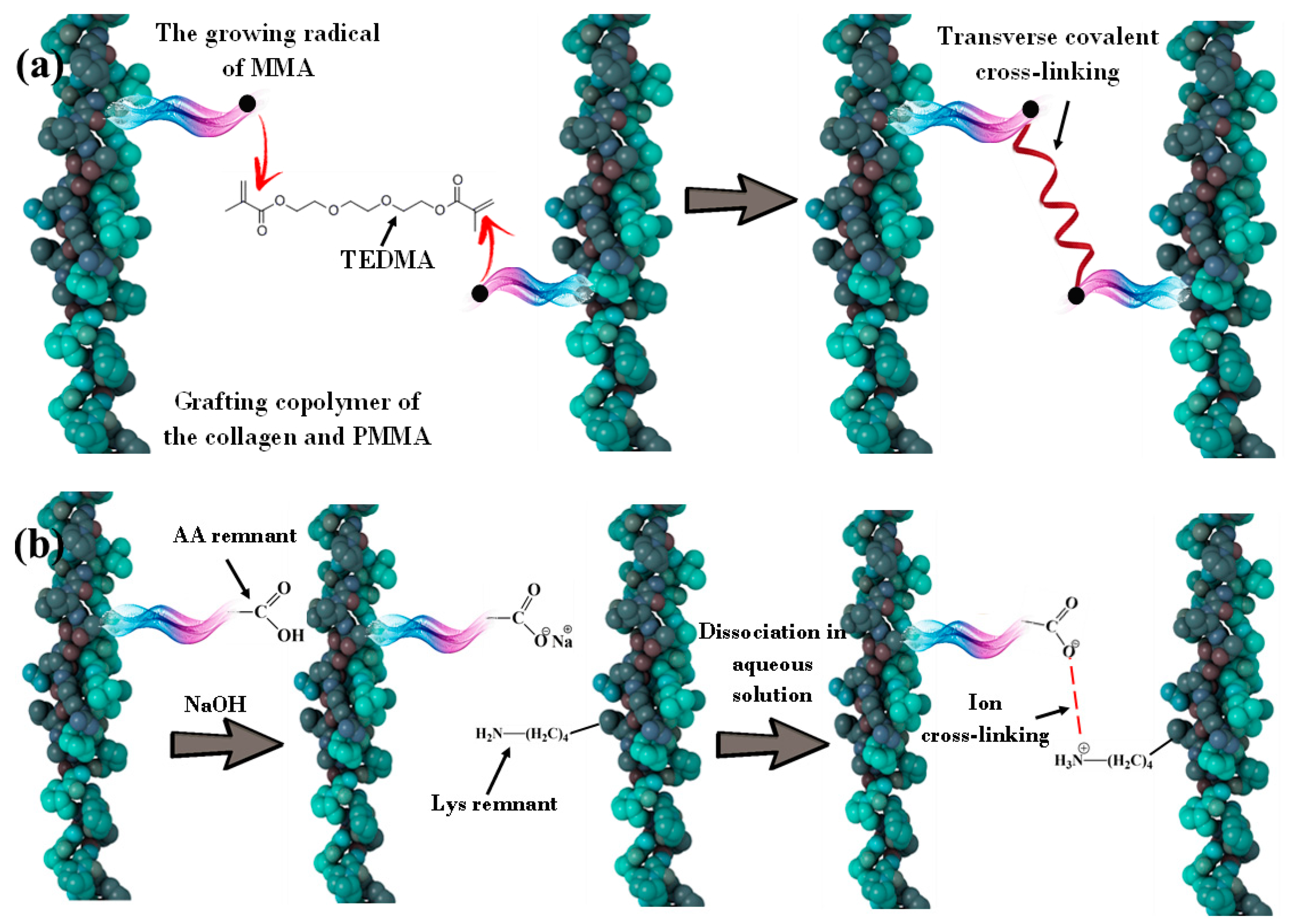 Applsci 13 05455 g002