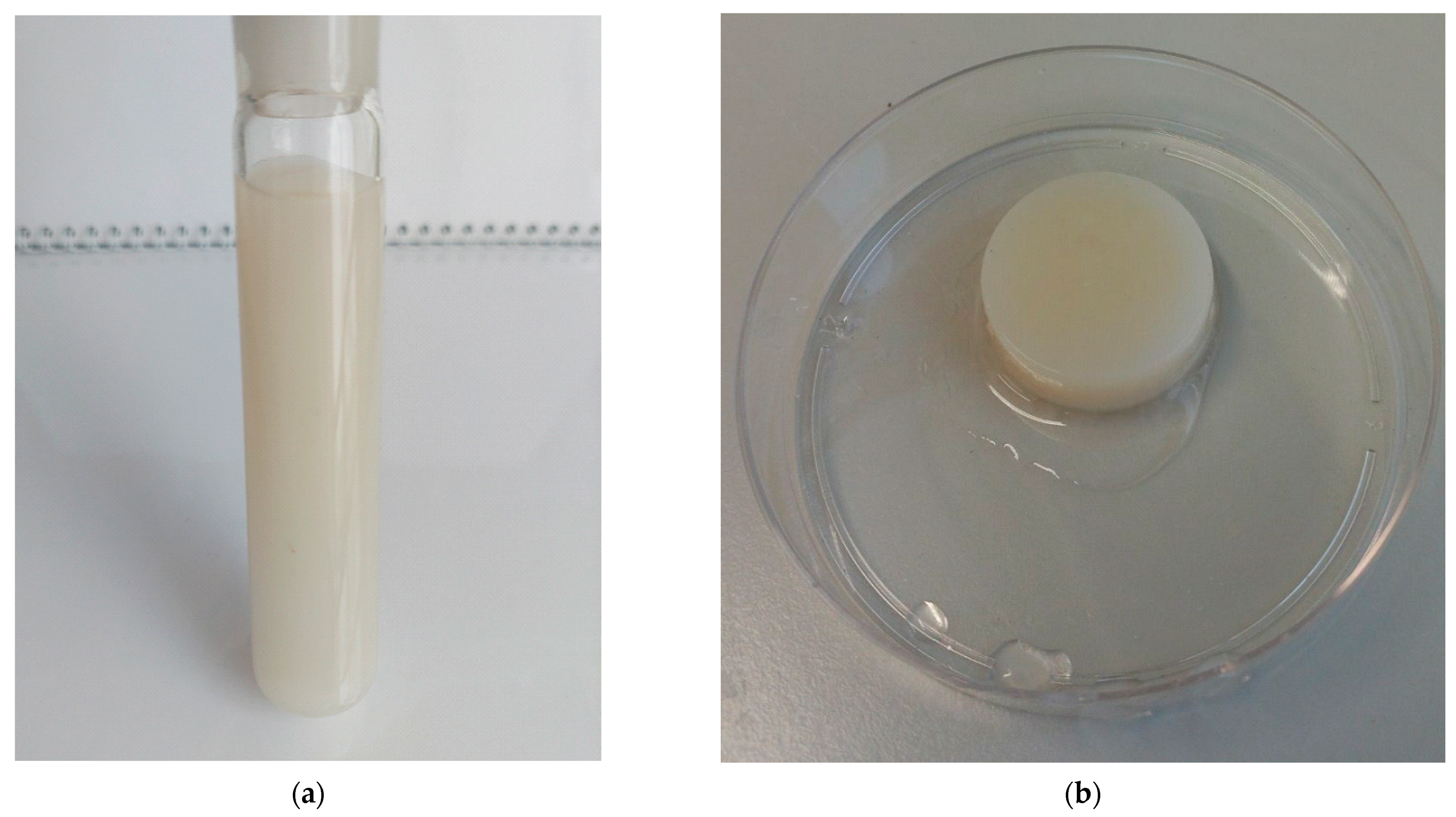 Applsci 13 05455 g003