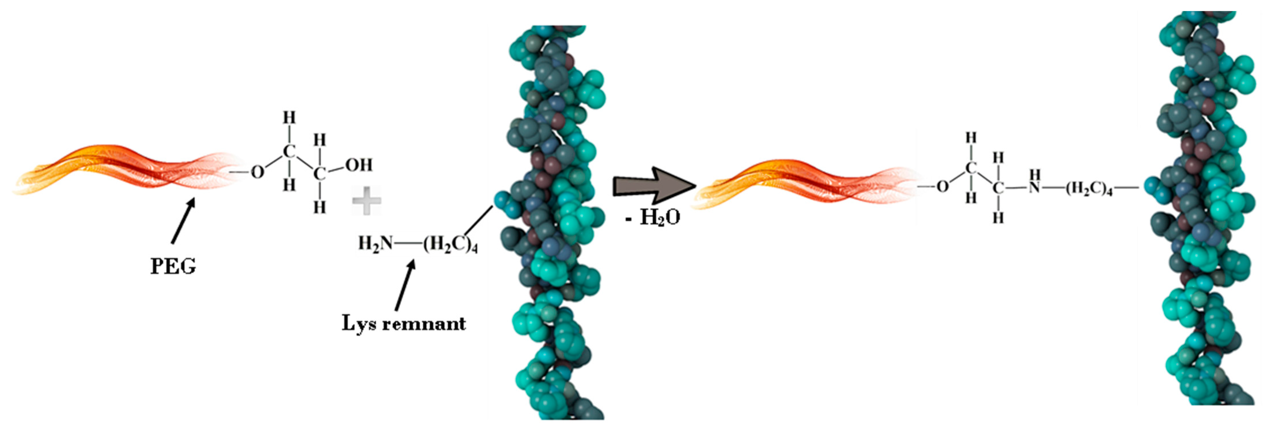 Applsci 13 05455 g007