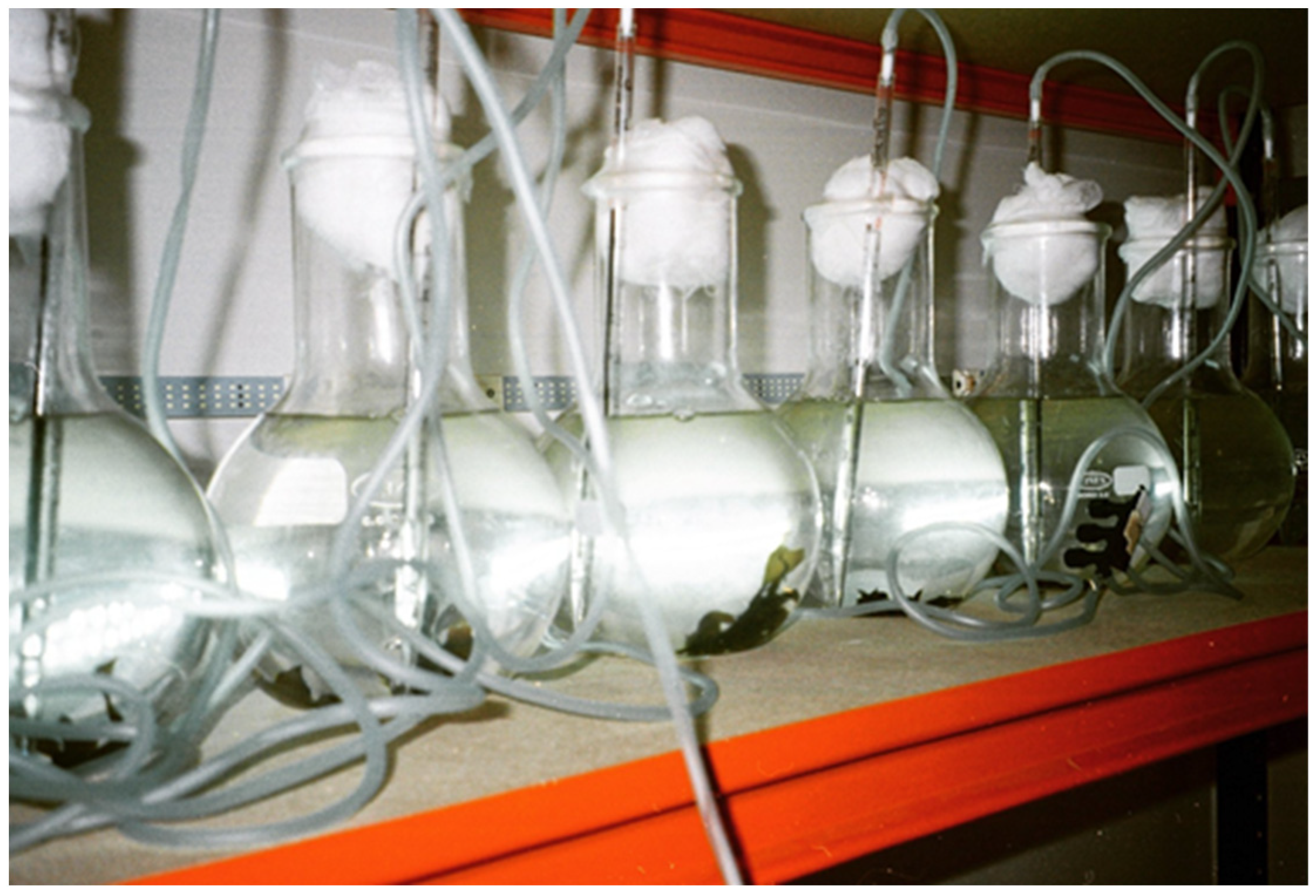 Applsci 13 05466 g001