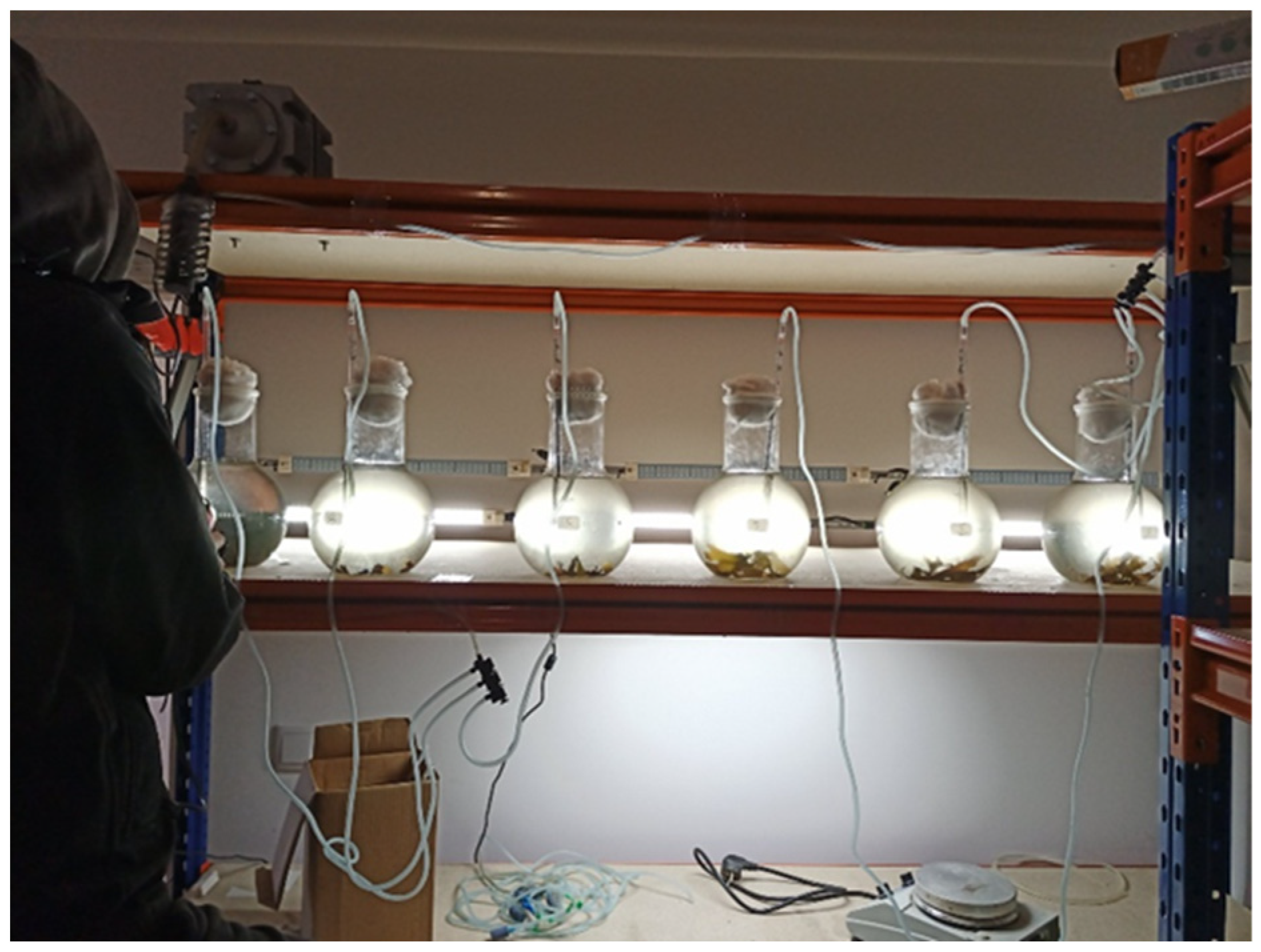 Applsci 13 05466 g002