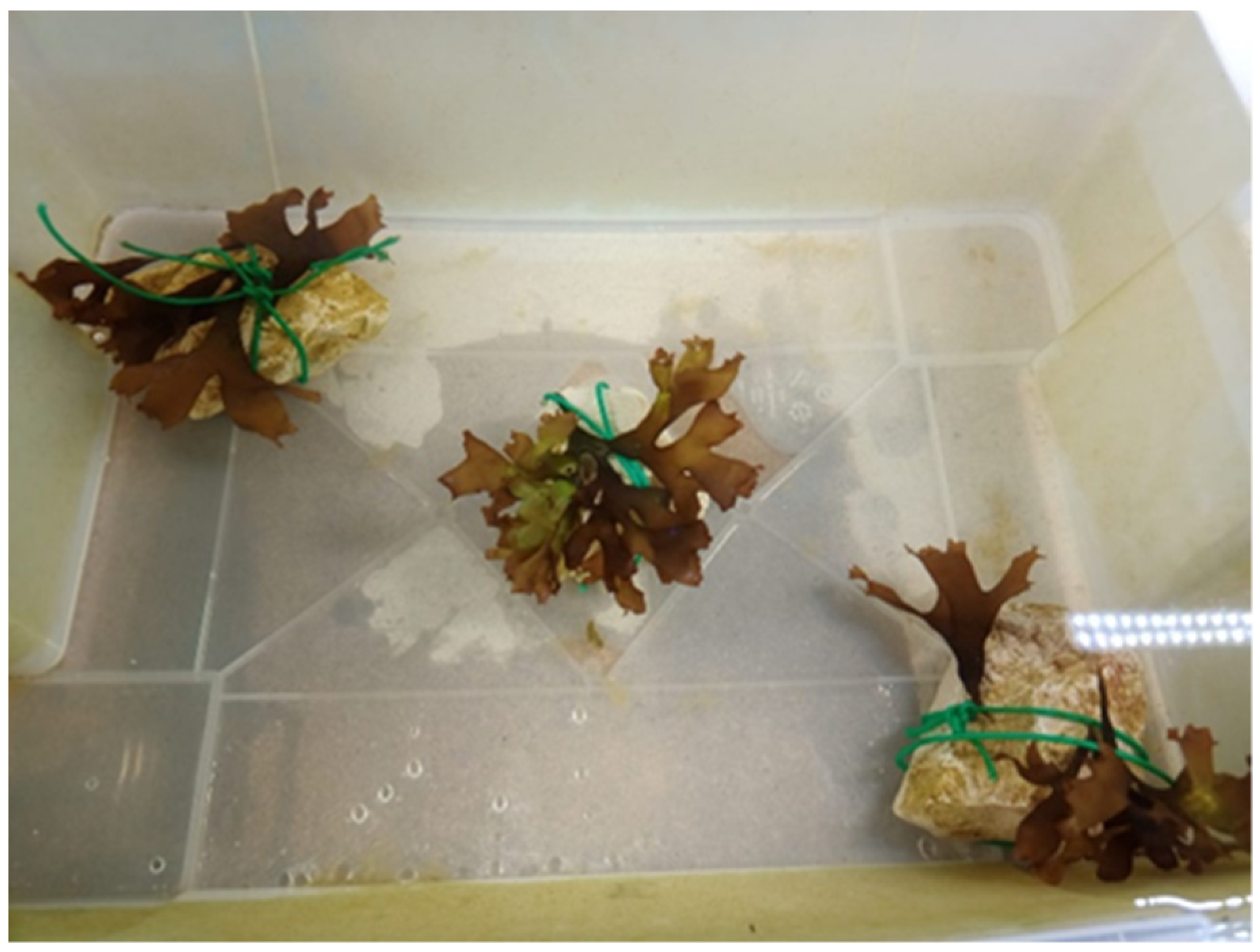 Applsci 13 05466 g003