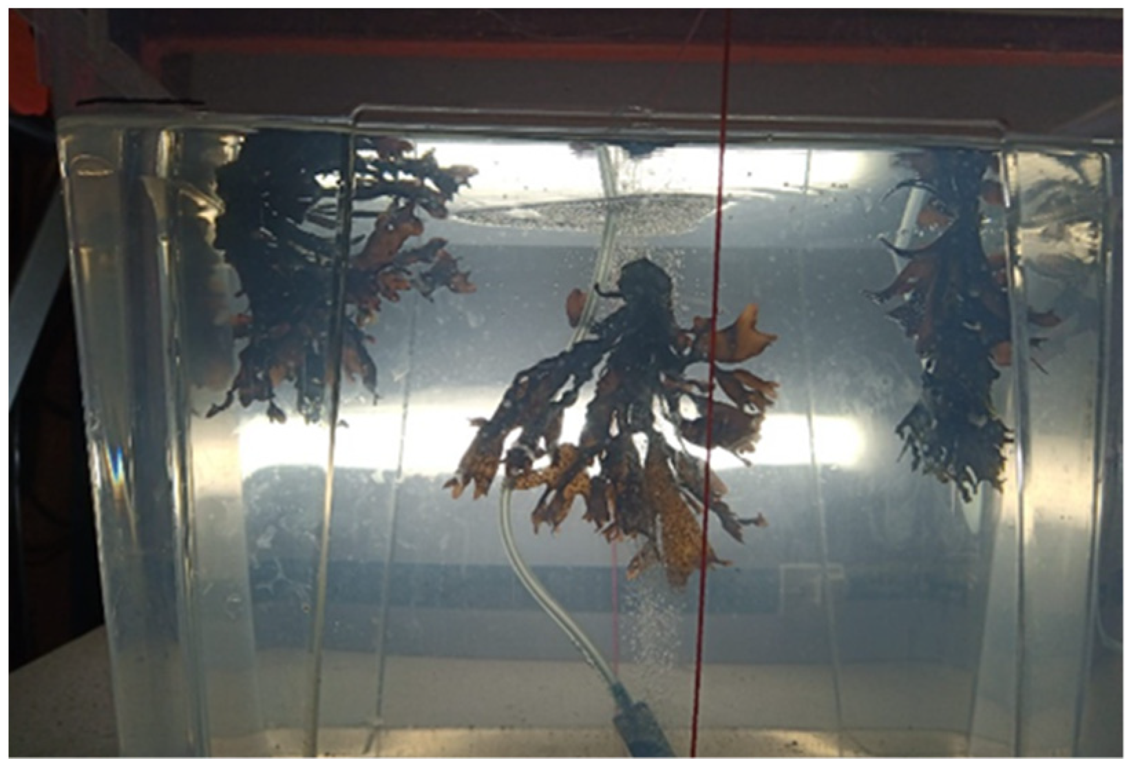 Applsci 13 05466 g004