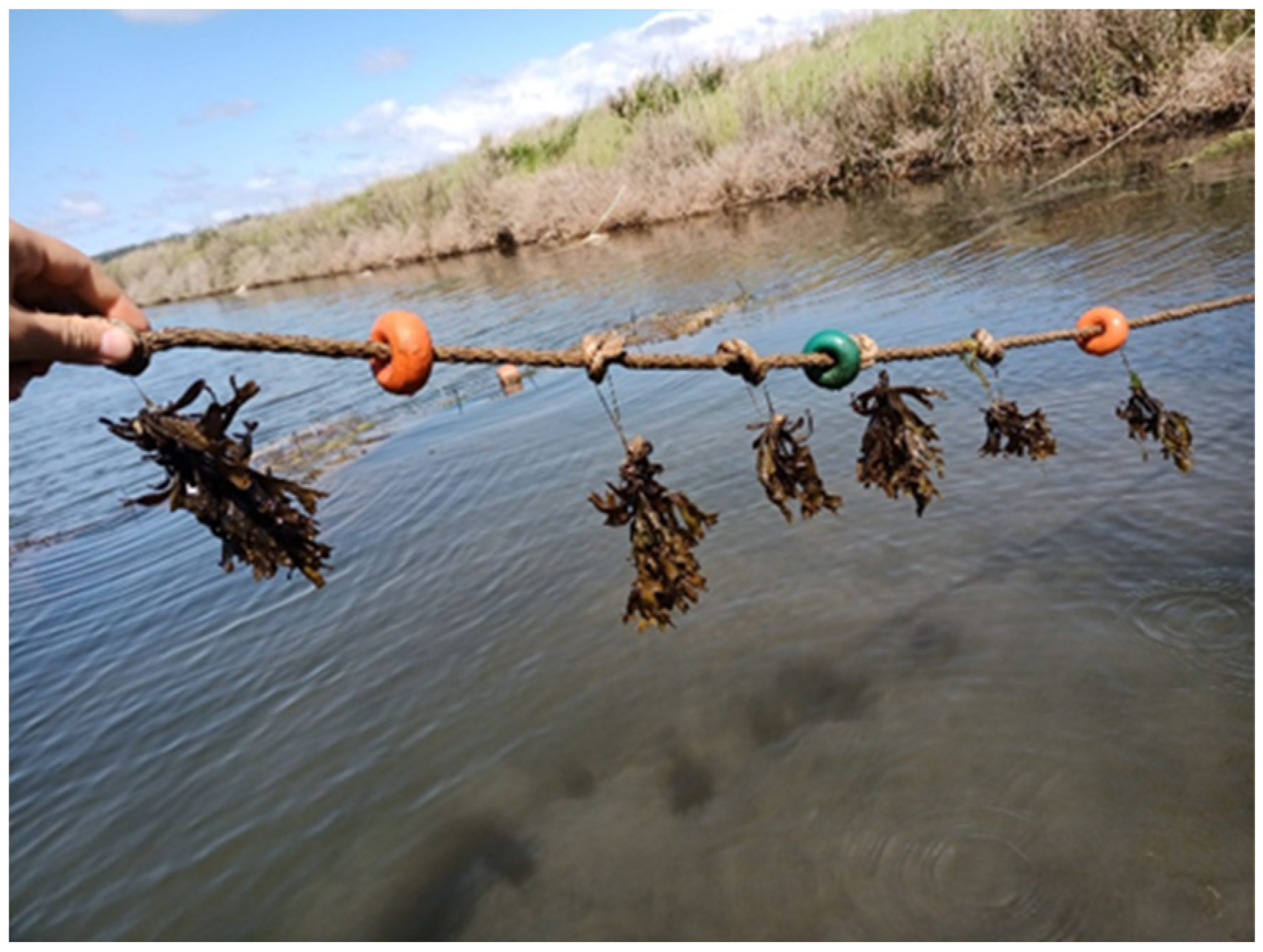 Applsci 13 05466 g005