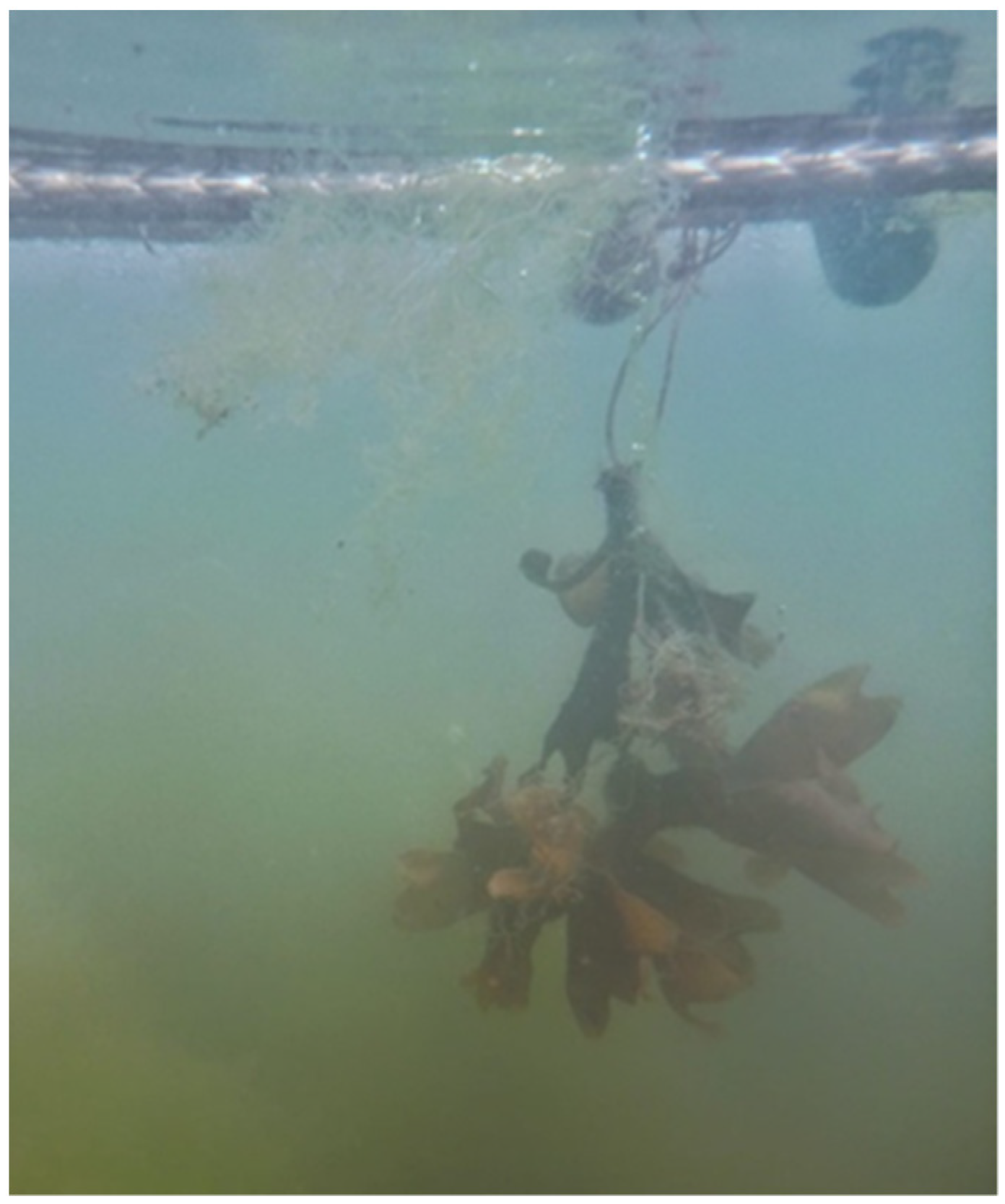 Applsci 13 05466 g006