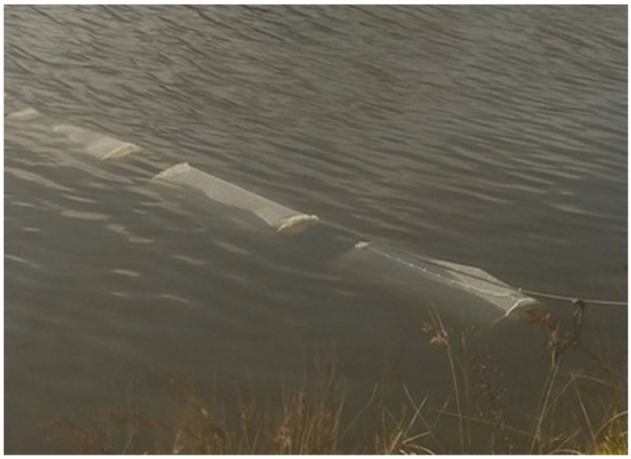 Applsci 13 05466 g007