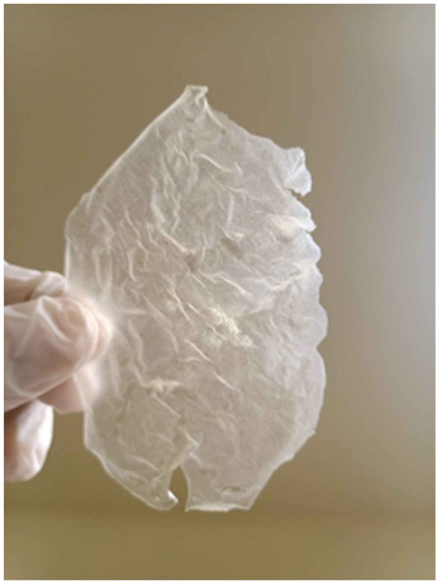 Applsci 13 05466 g010