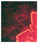 Applsci 13 05470 i028 Applsci 13 05470 i028