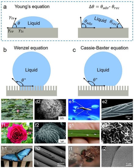 Applsci 13 05478 g004