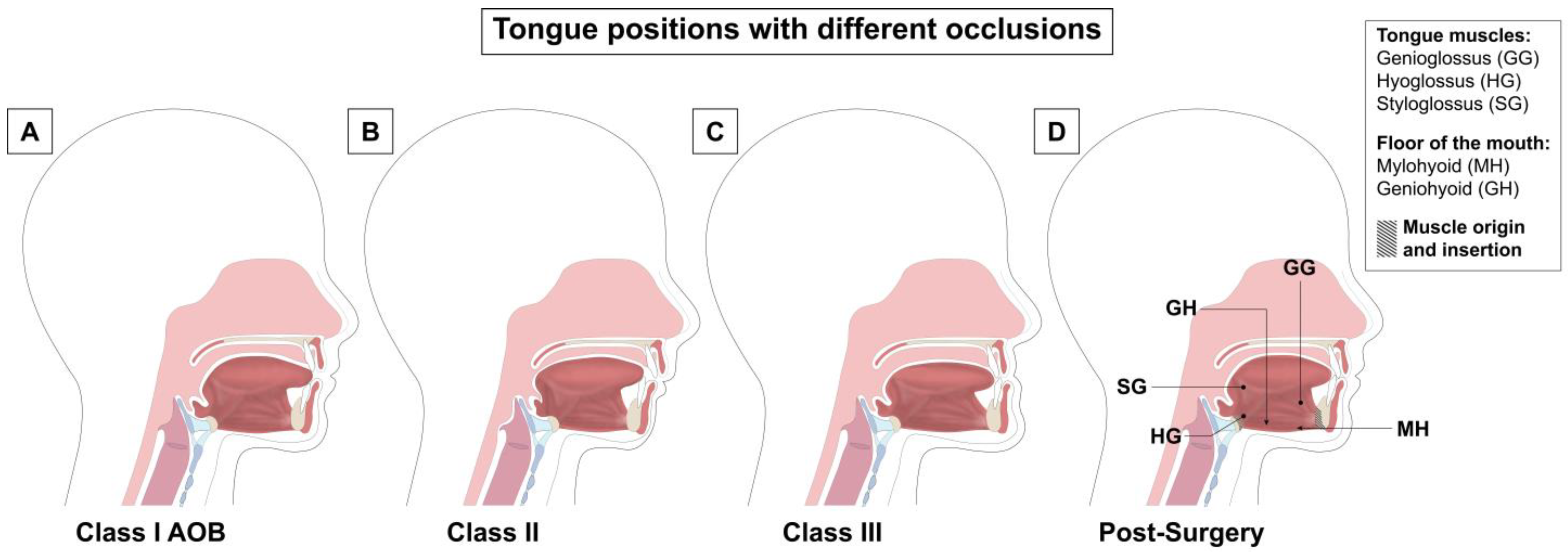 Applsci 13 05496 g001