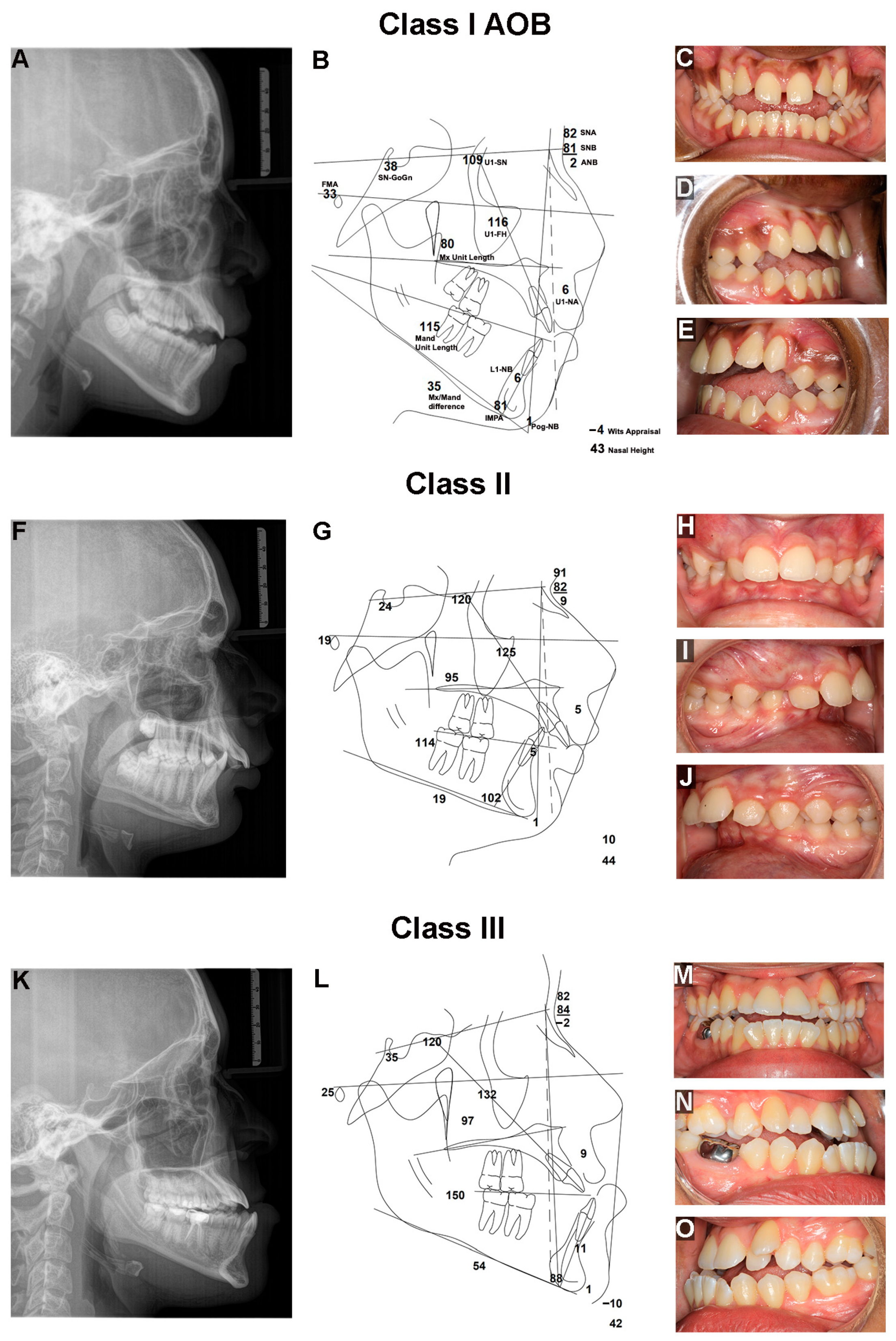 Applsci 13 05496 g002