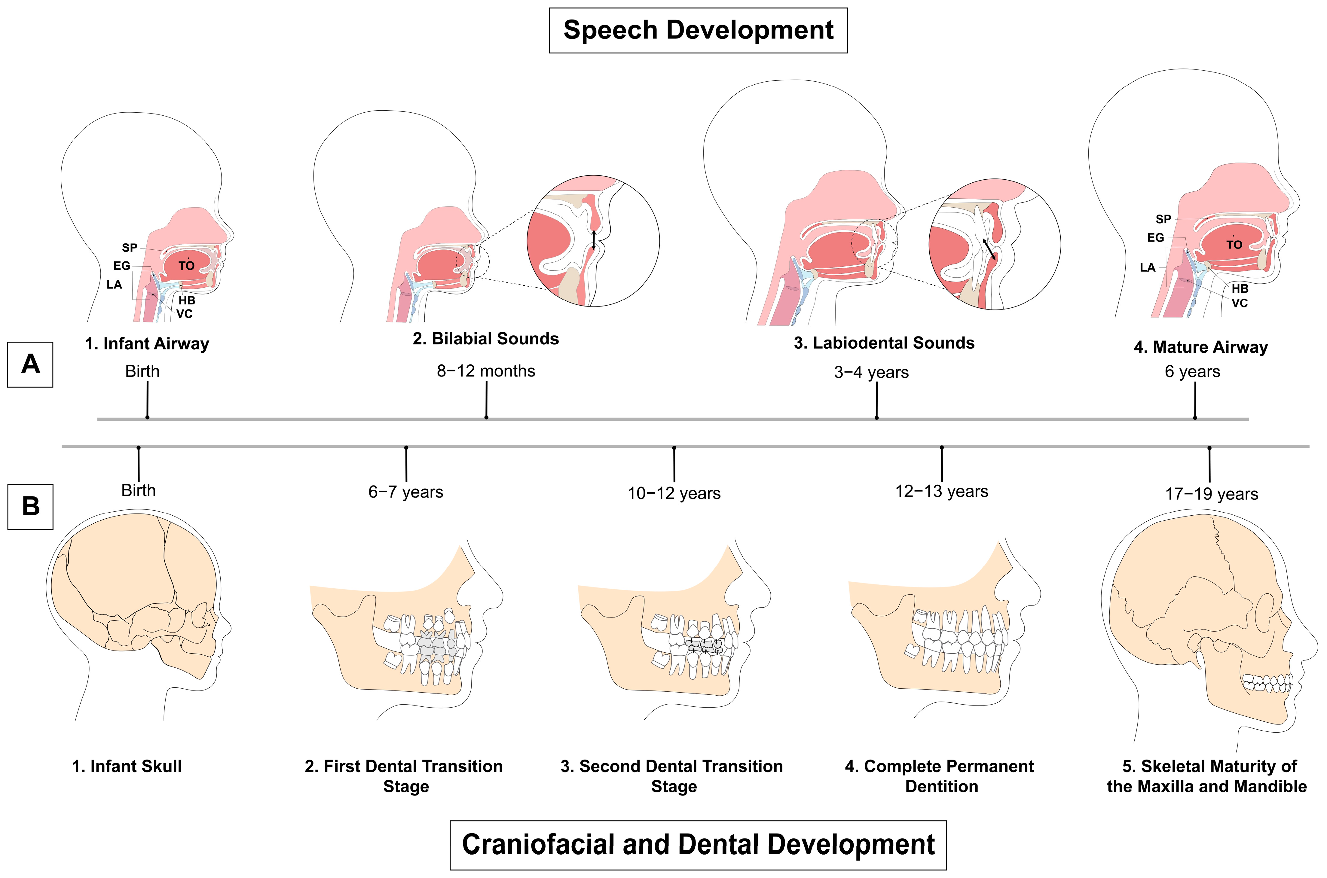 Applsci 13 05496 g003