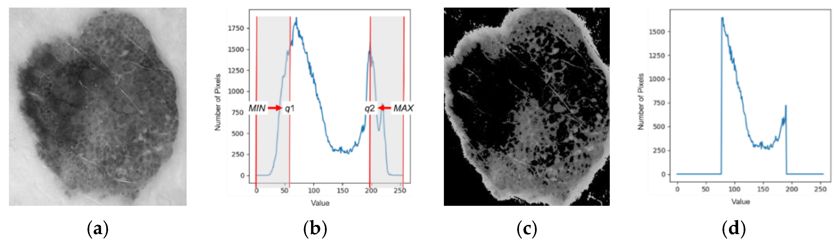 Applsci 13 05497 g003