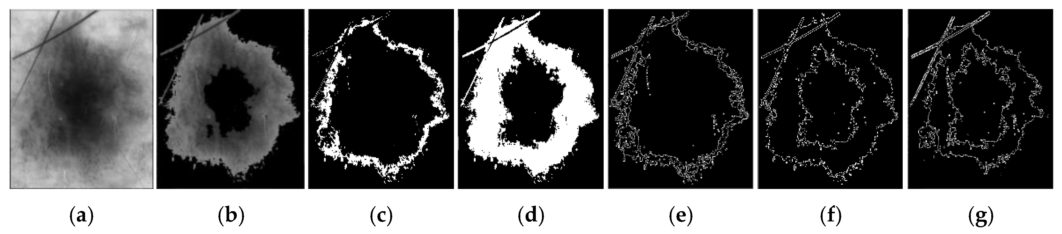 Applsci 13 05497 g004