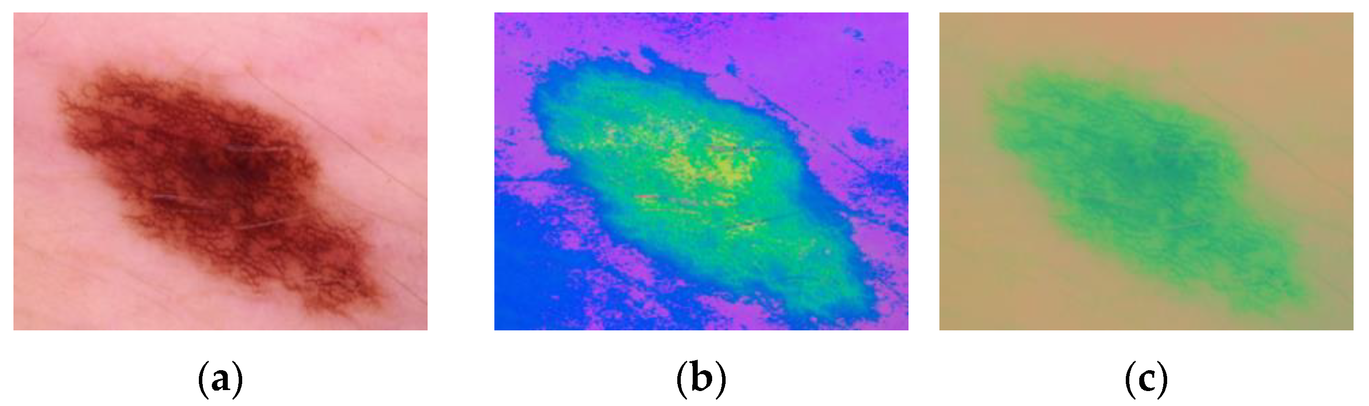 Applsci 13 05497 g007