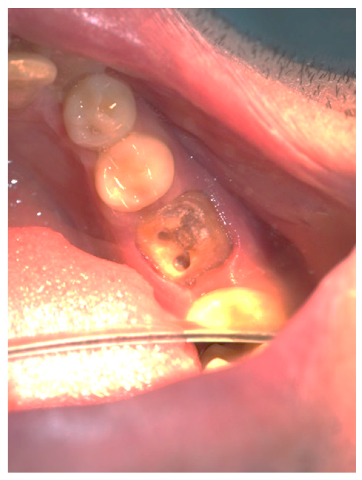 Applsci 13 05527 g004